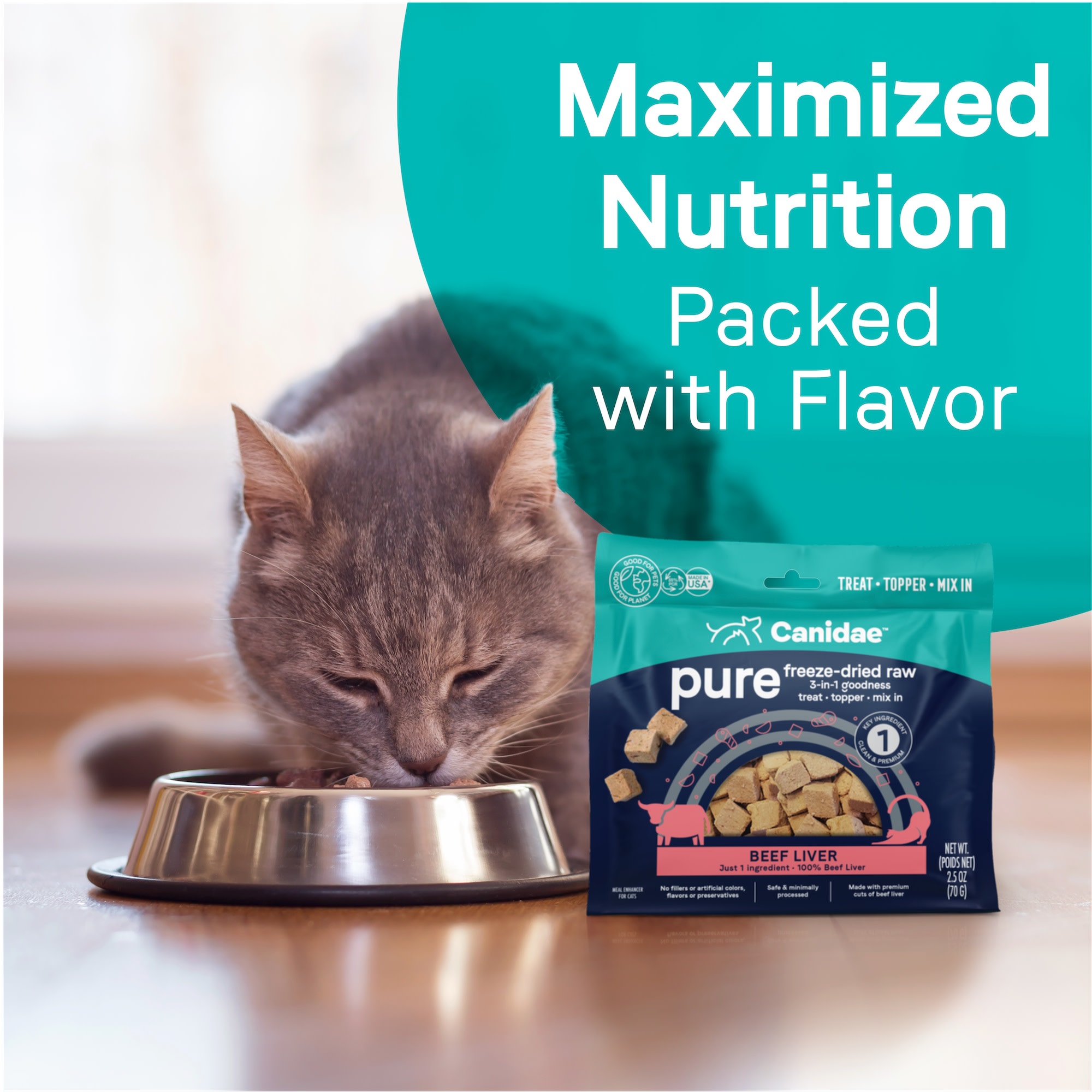 Petco freeze store dried cat food