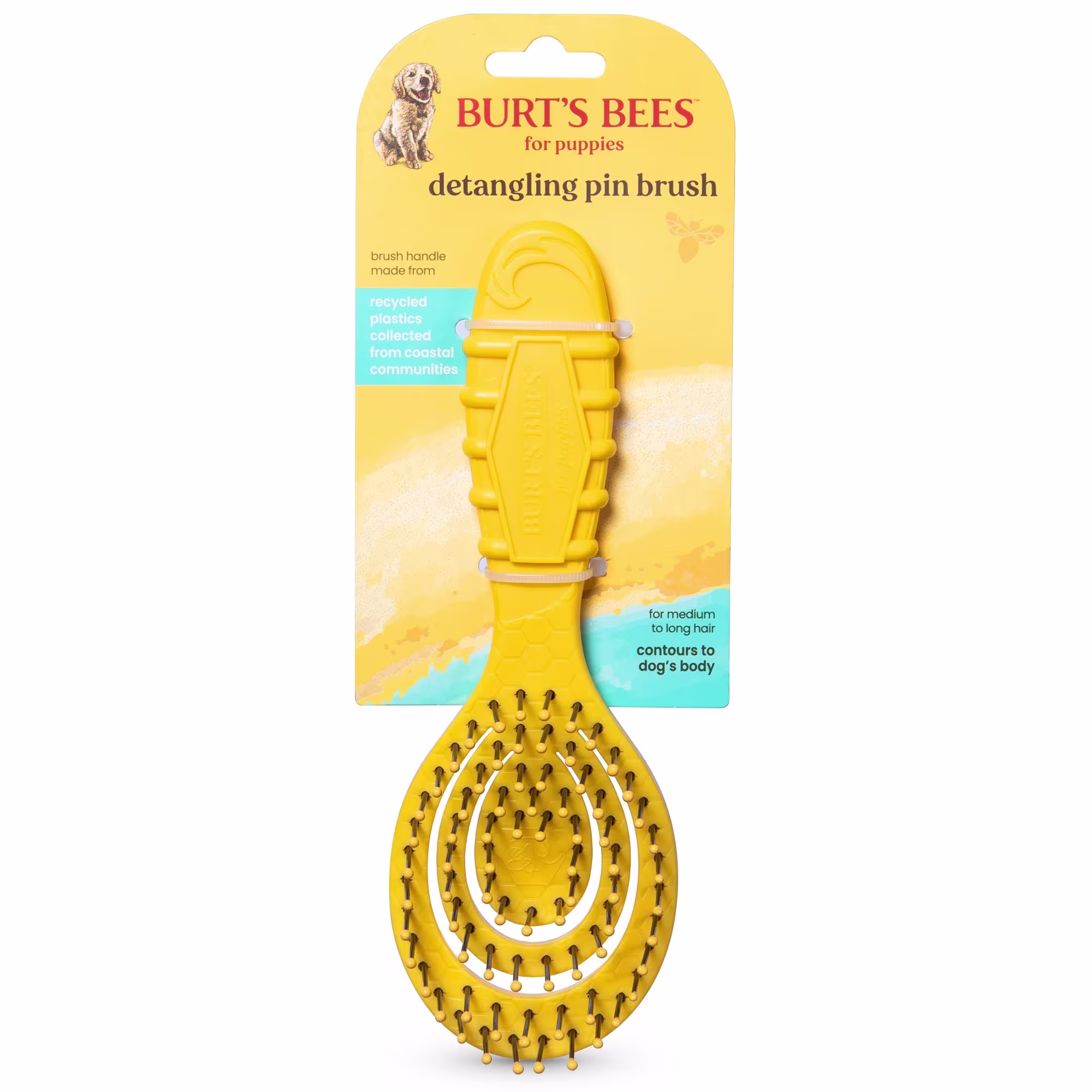 Burt's Bees Puppy & Small Dog Detangling Brush