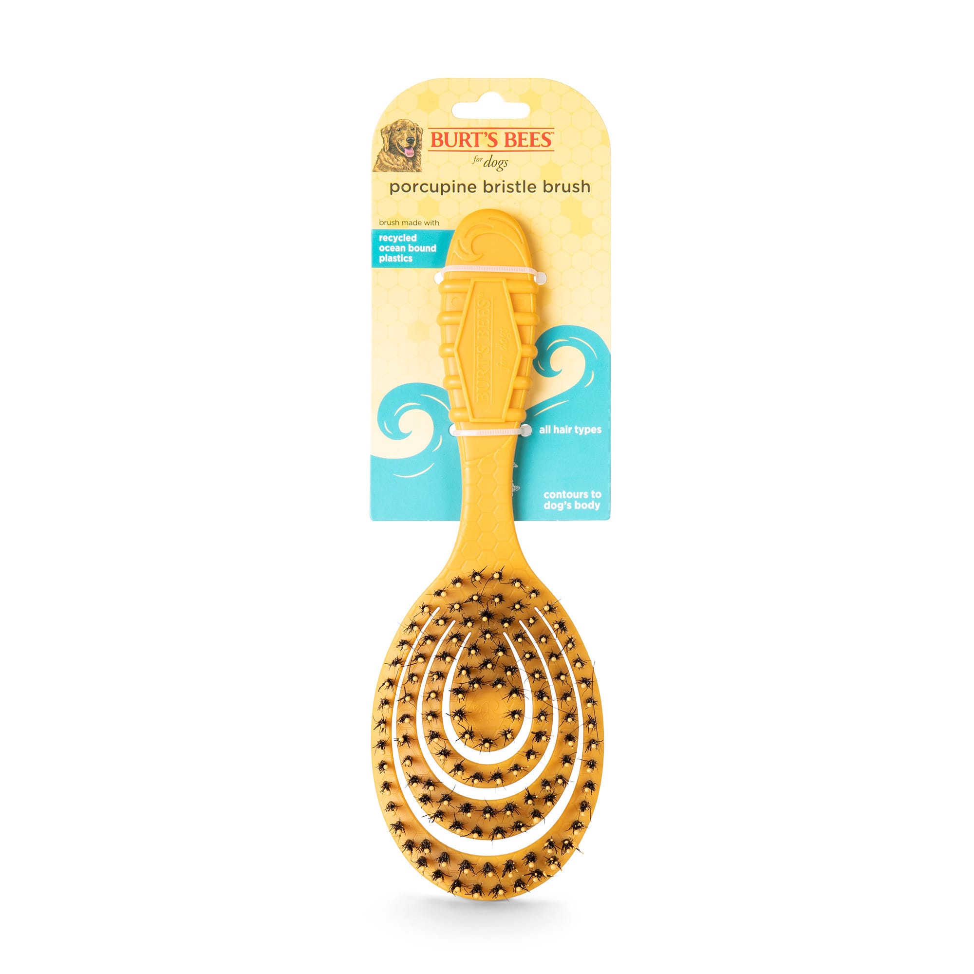 Burt's bees 2024 dog brush