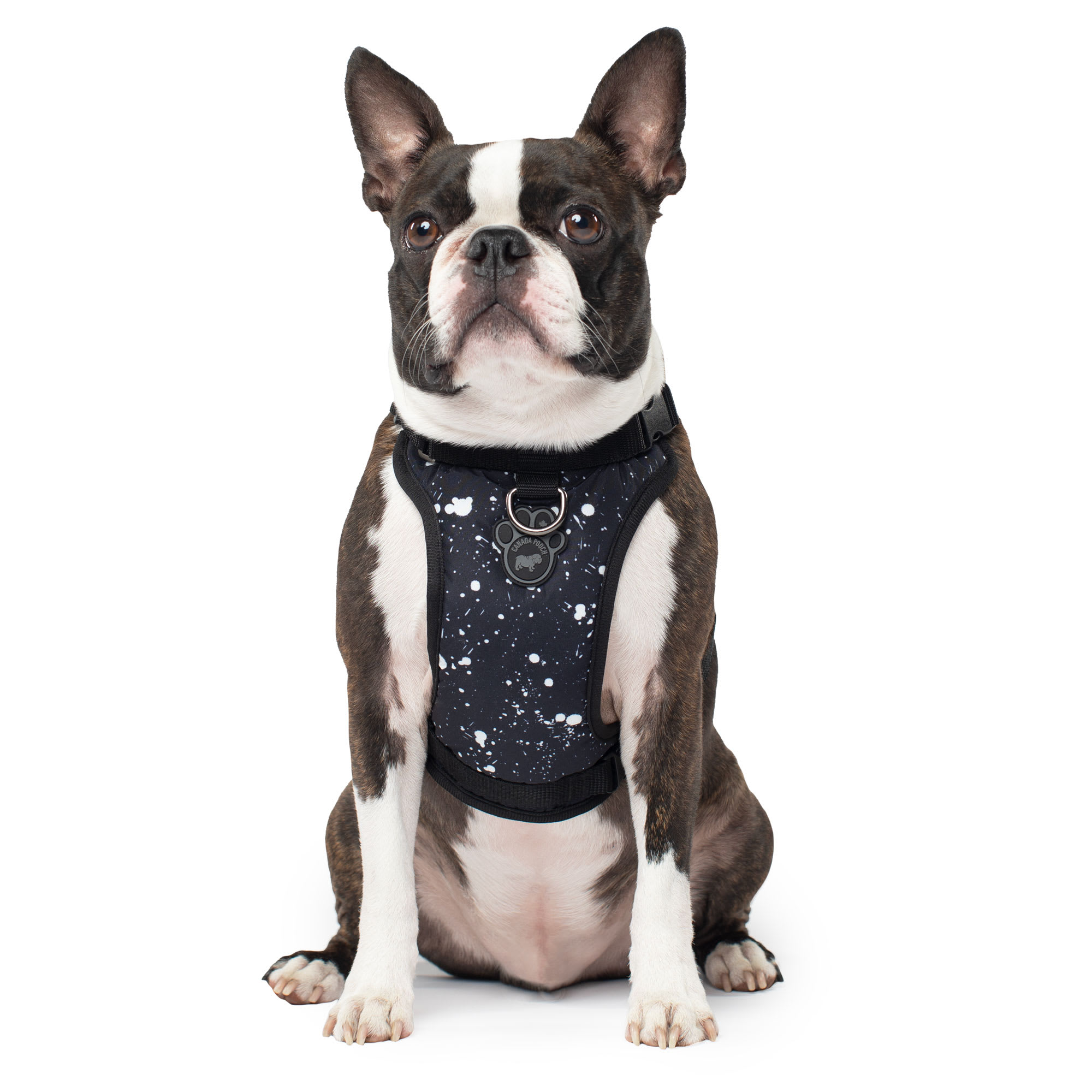 Canada 2025 pooch harness