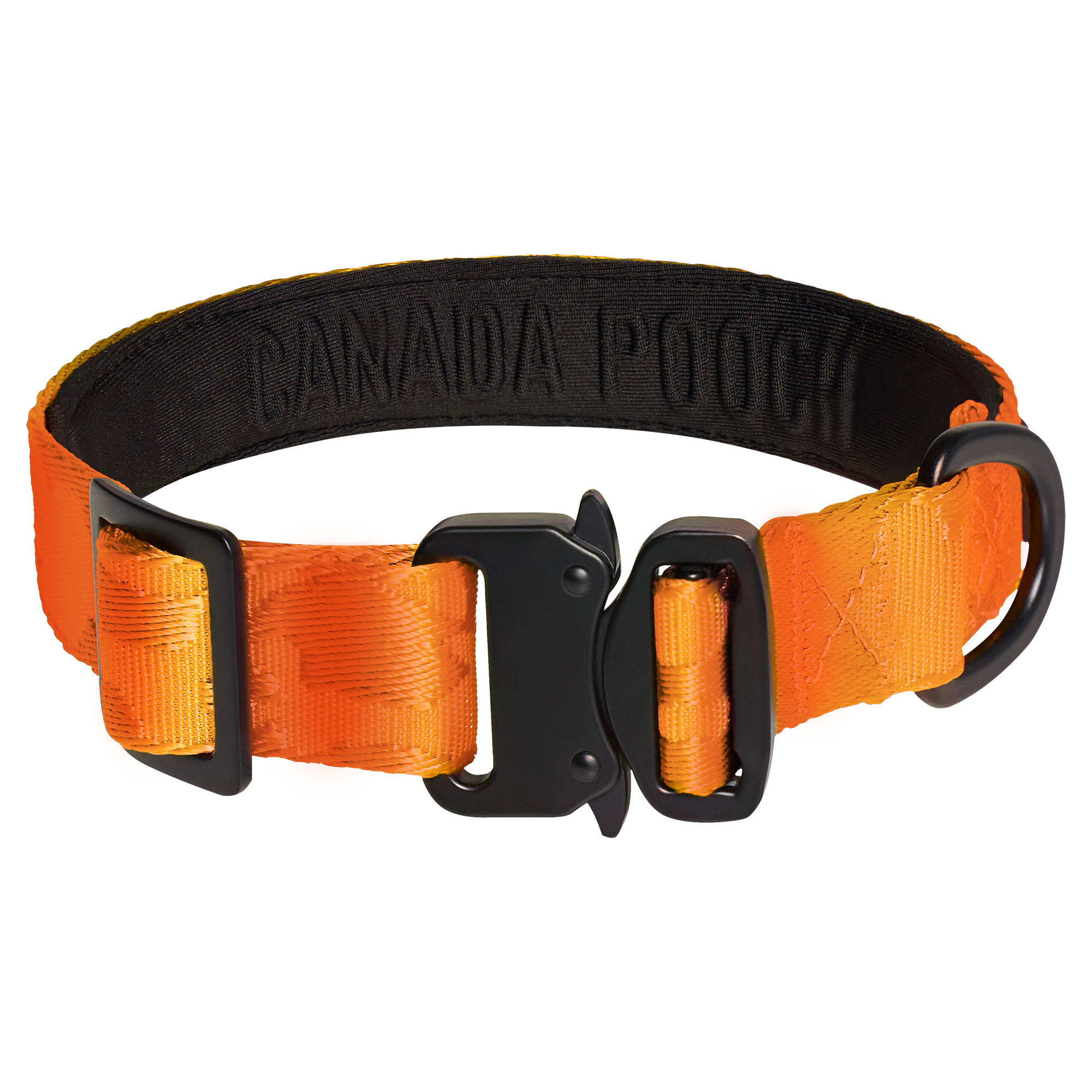 Canada Pooch Orange Utility Dog Collar, Large Petco