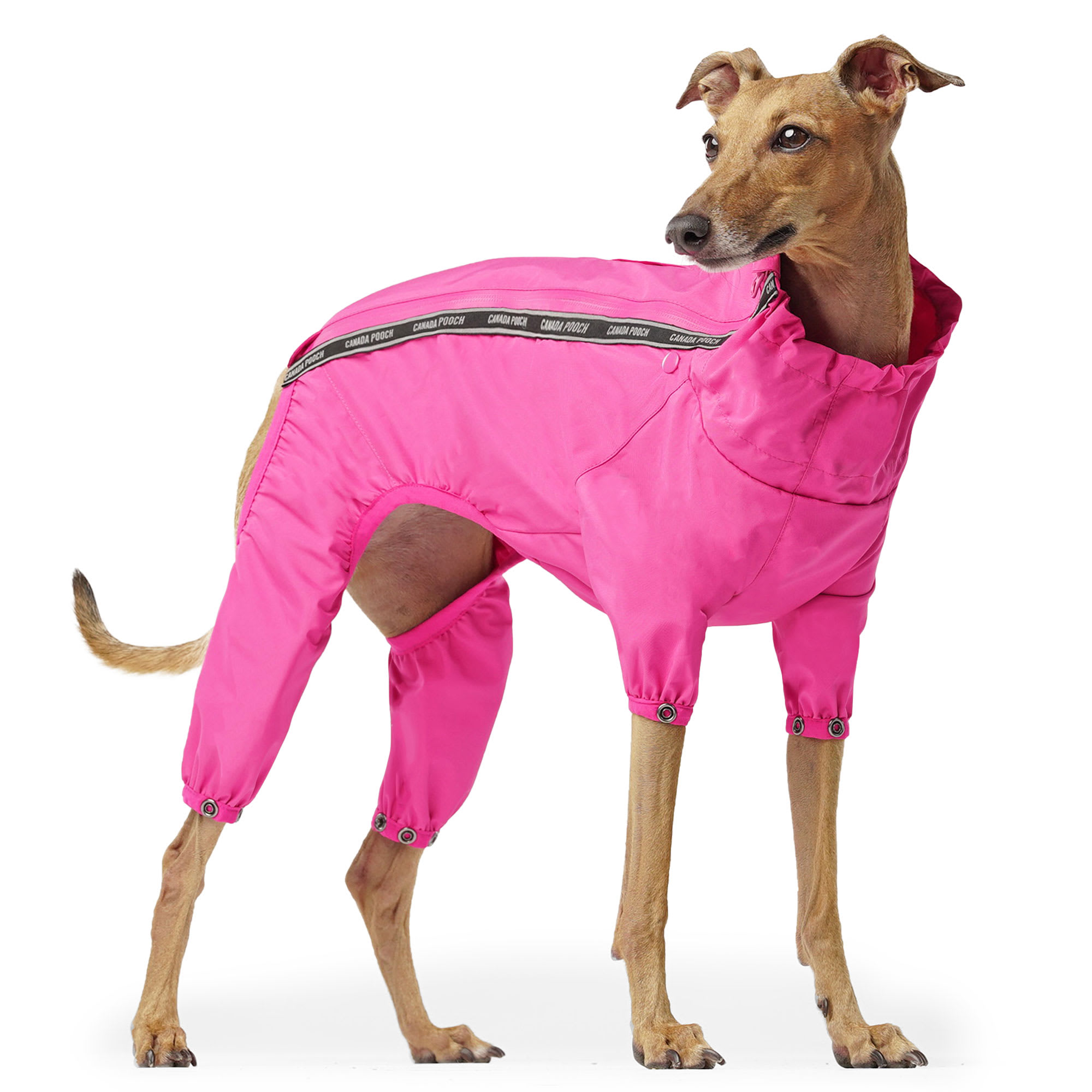 Canada Pooch Pink Slush Suit for Dogs, Small Petco