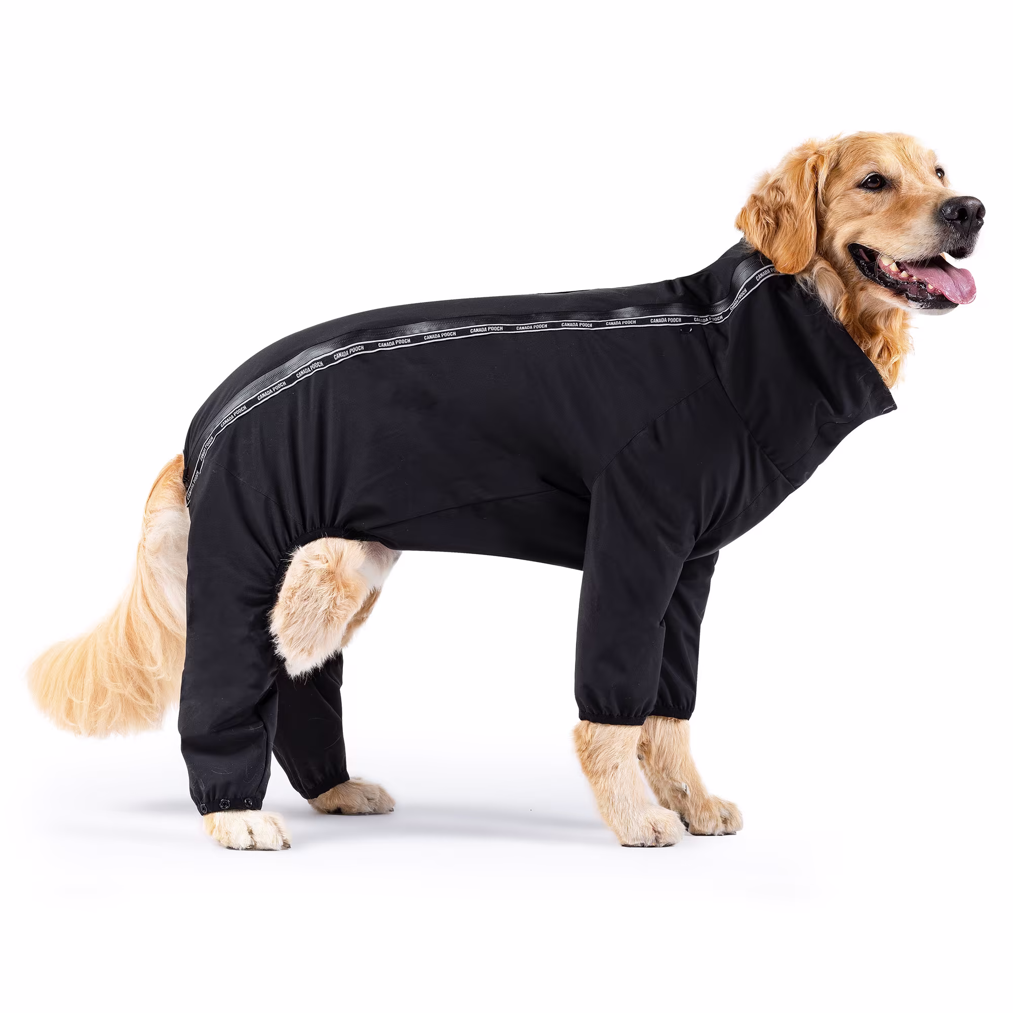 Canada Pooch Black Slush Suit for Dogs, 3XSmall Petco