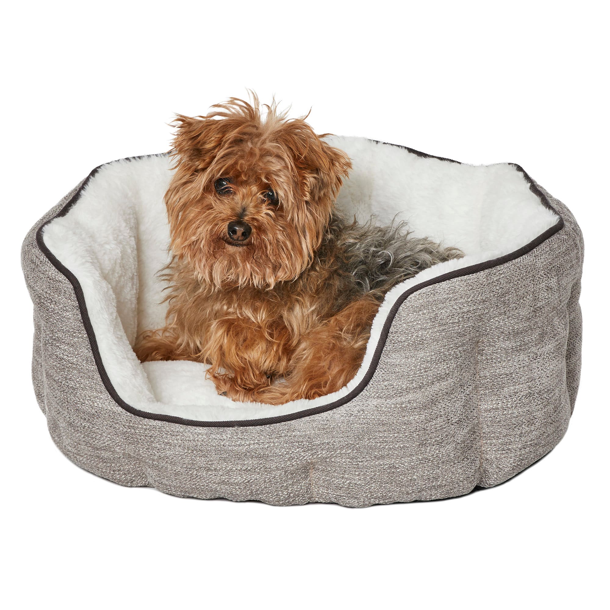 Cactus Silk Dog Bed, Rust Medium – Sebastian Says