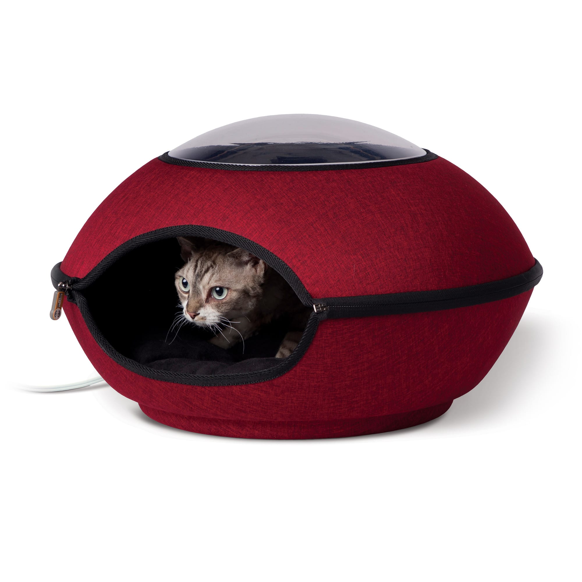 Heated cat bed on sale petsmart