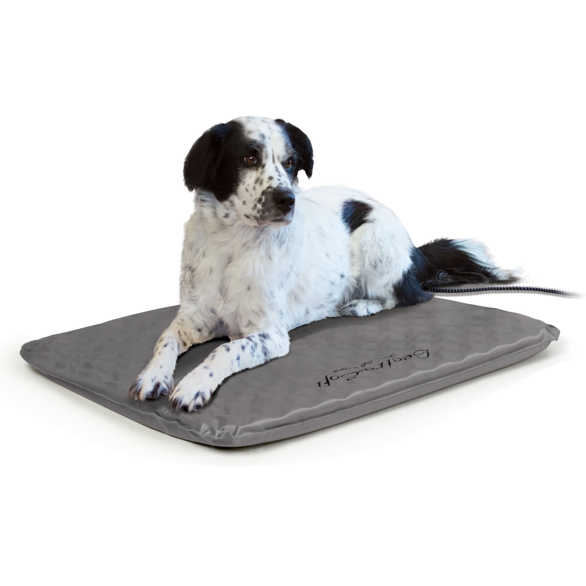 Heated outdoor pet bed best sale