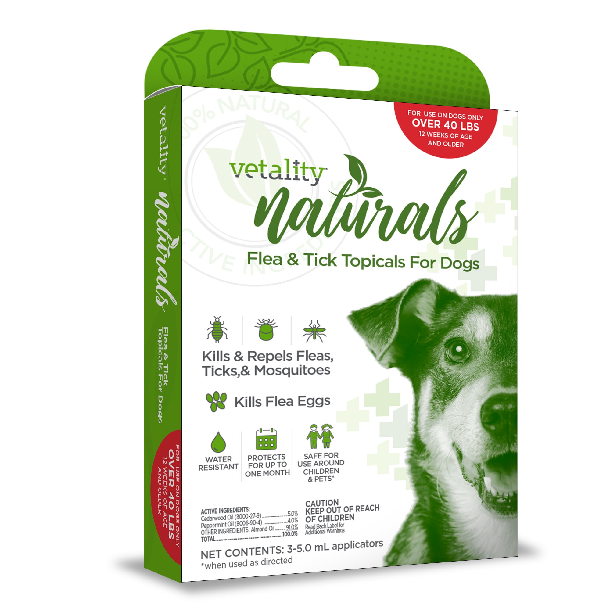 Natural flea best sale remedy for puppies