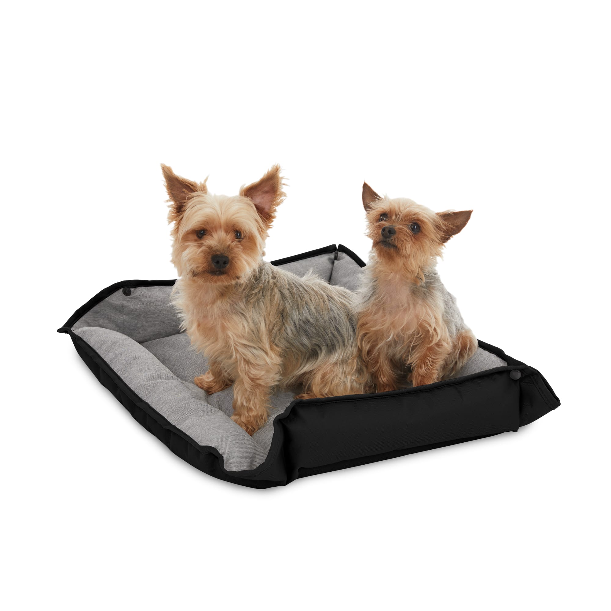 Dog bed outlet for 2