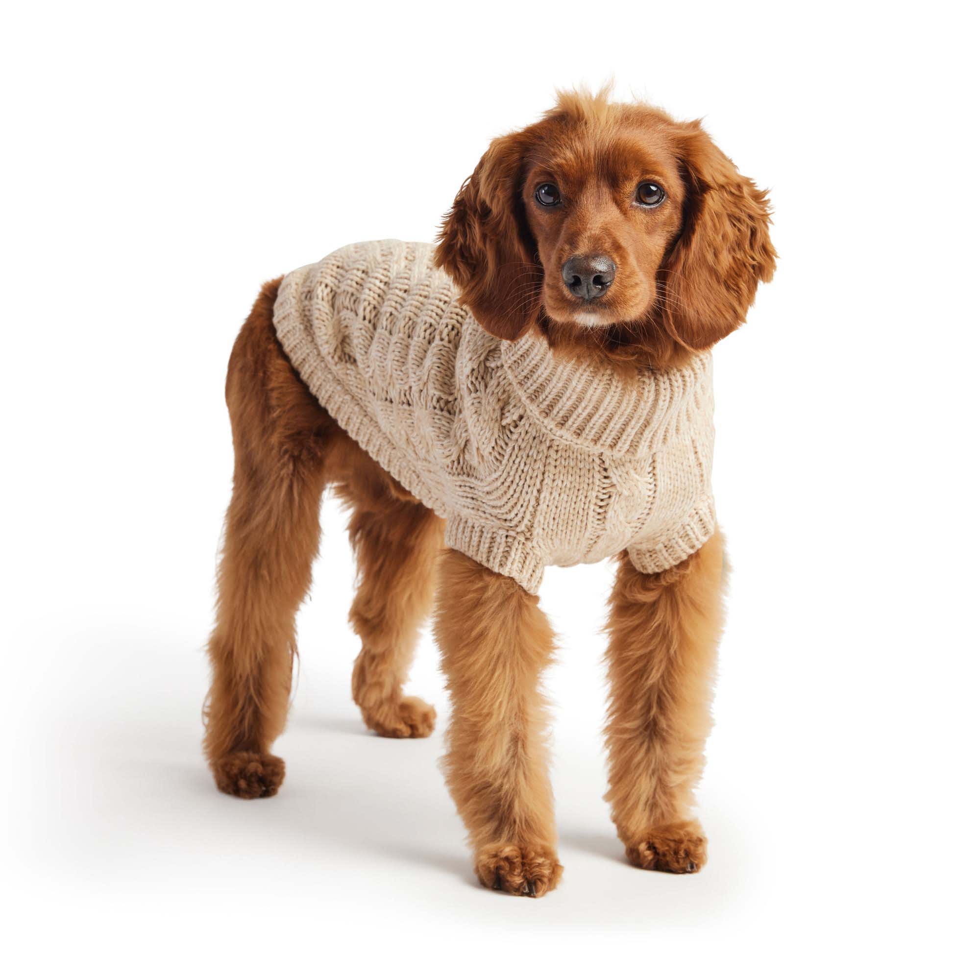 Beige Chewy V Fluffy Dog Sweatshirt, Petiboo