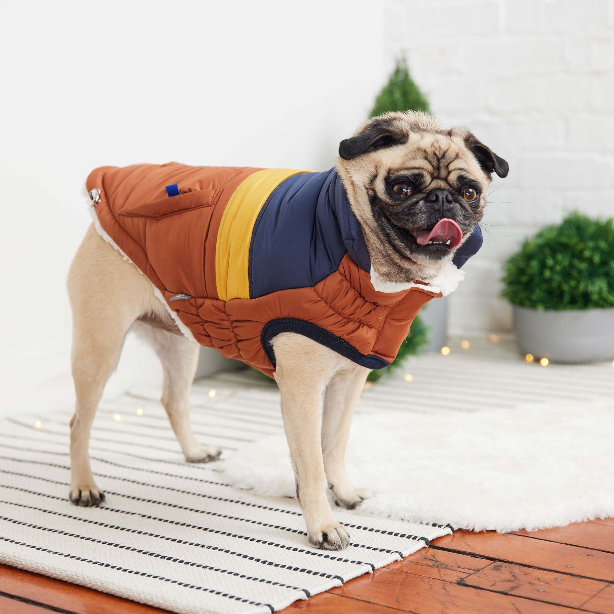 Alpine Puffer Summit Puffer Dog Coat GF Pet Hazel Retro Dog Puffer