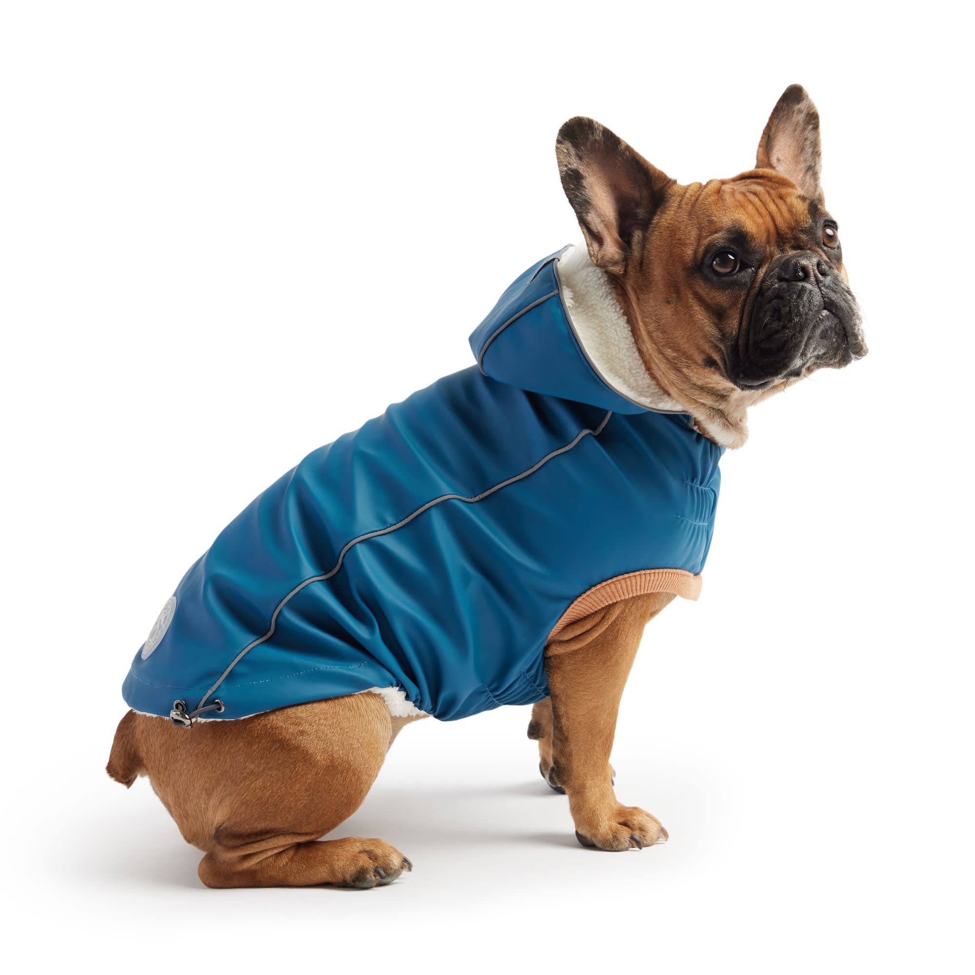 GF Pet Dark Blue Insulated Dog Raincoat, XX-Small | Petco