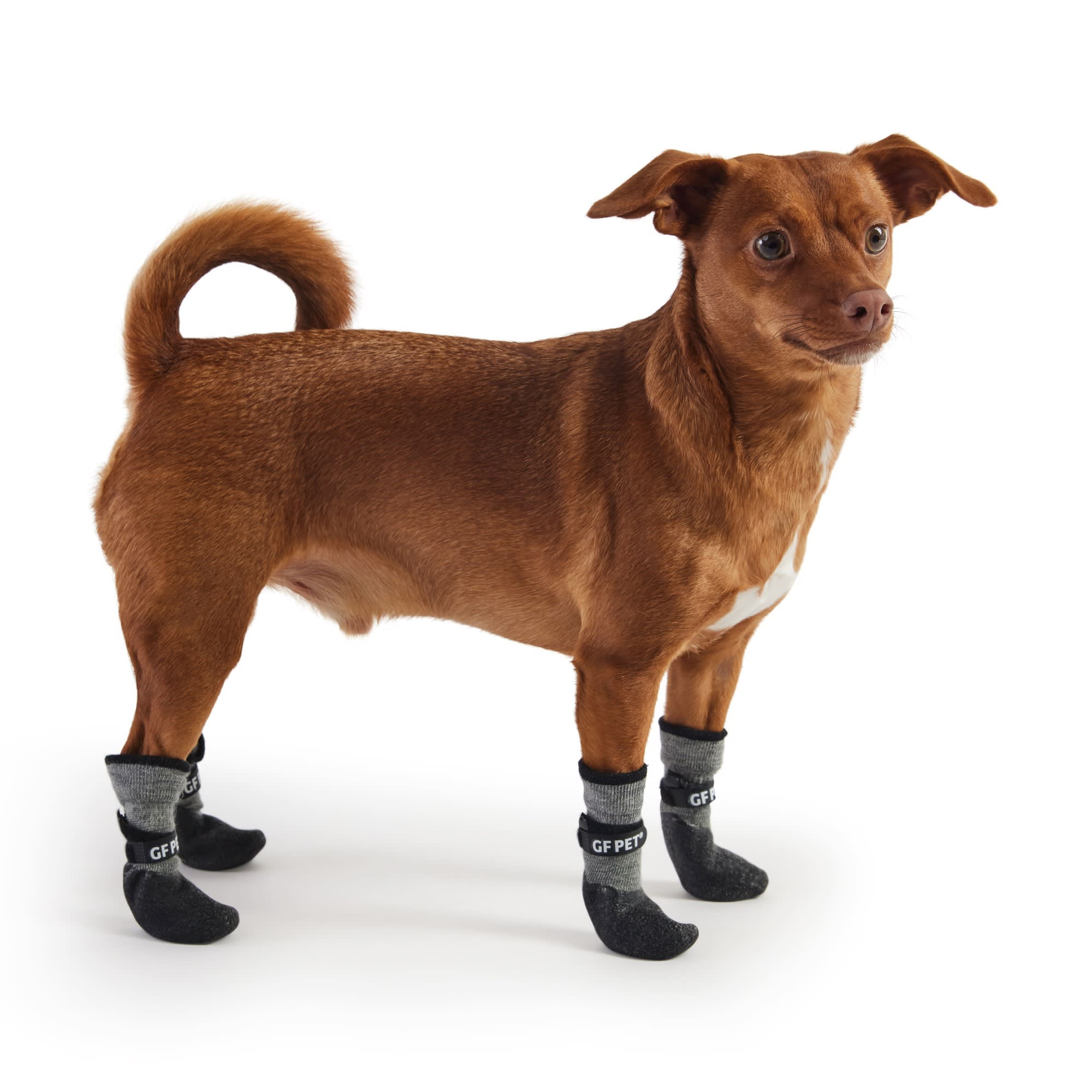 Petco rain hot sale boots