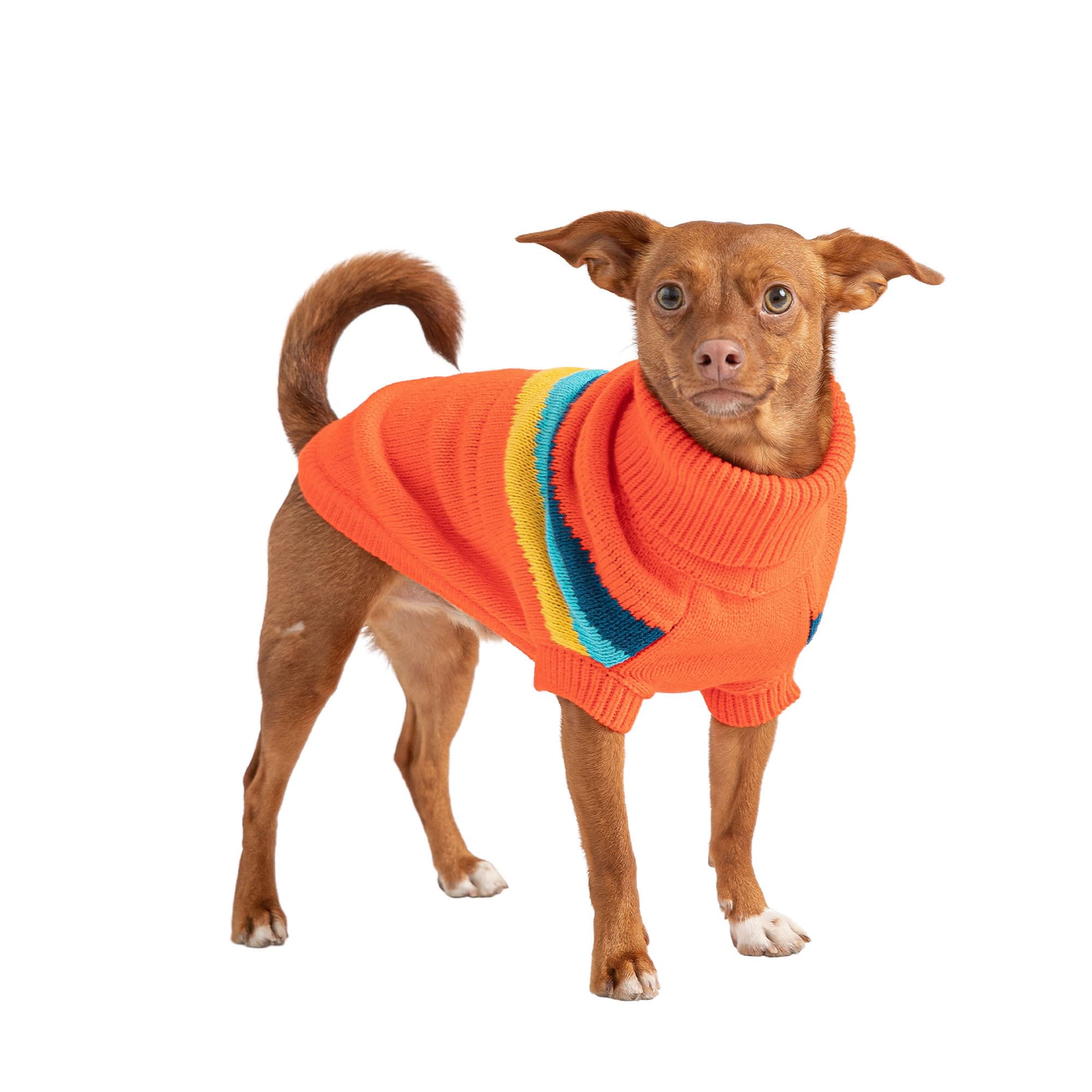 GF Pet Orange Alpine Dog Sweater, 3X-Small Petco