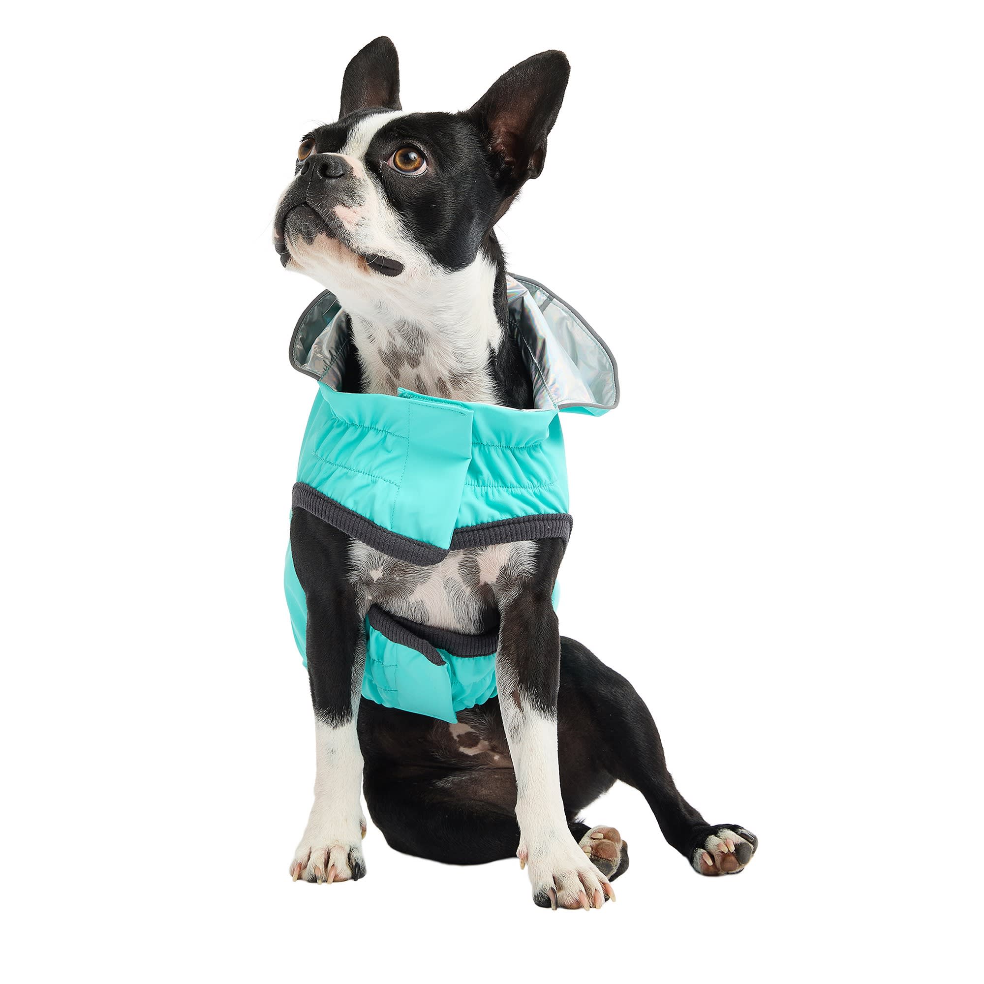GF Pet Neon Aqua with Iridescent Reversible Dog Raincoat, XSmall Petco