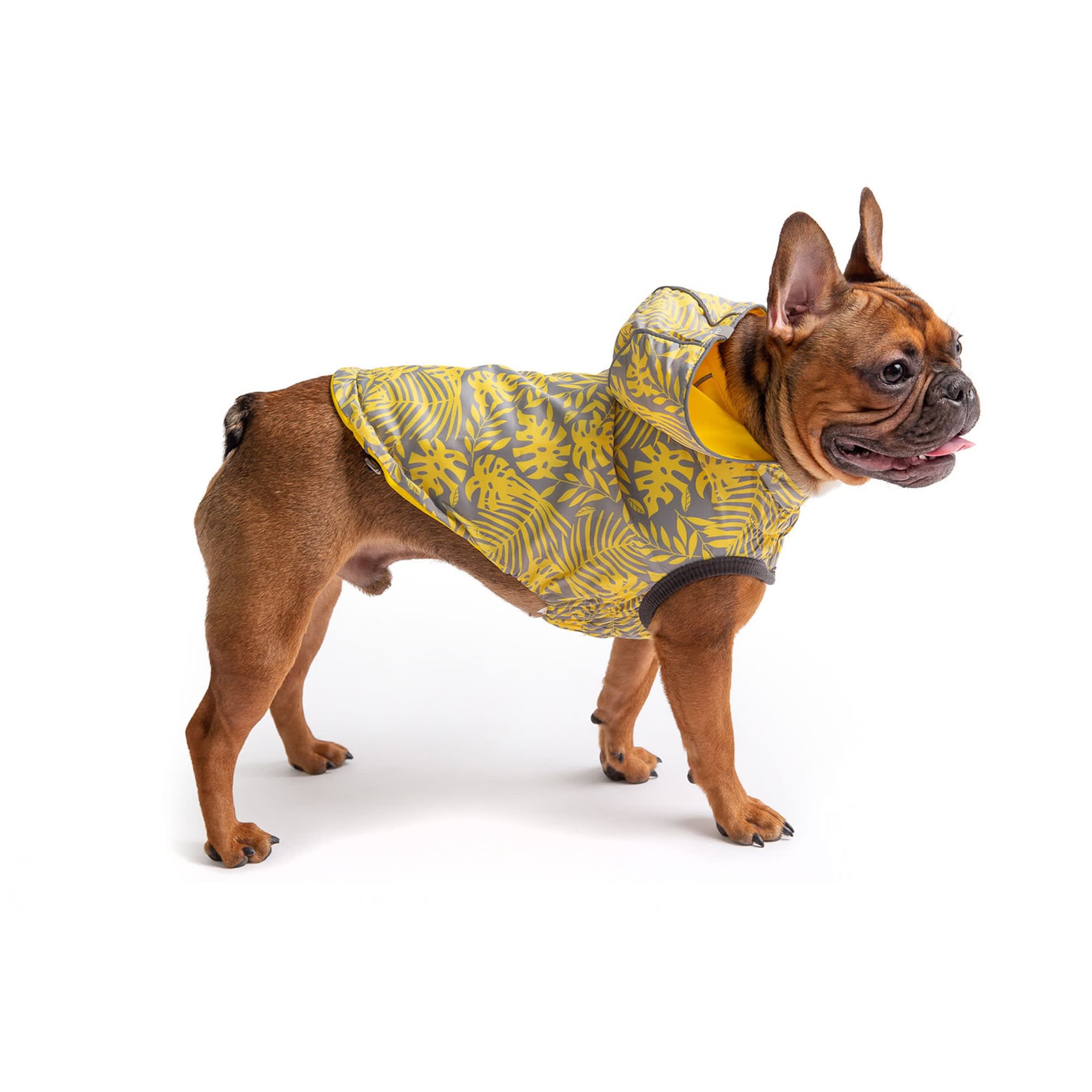 GF Pet Yellow Reversible ElastoFit Dog Raincoat, XXLarge Petco