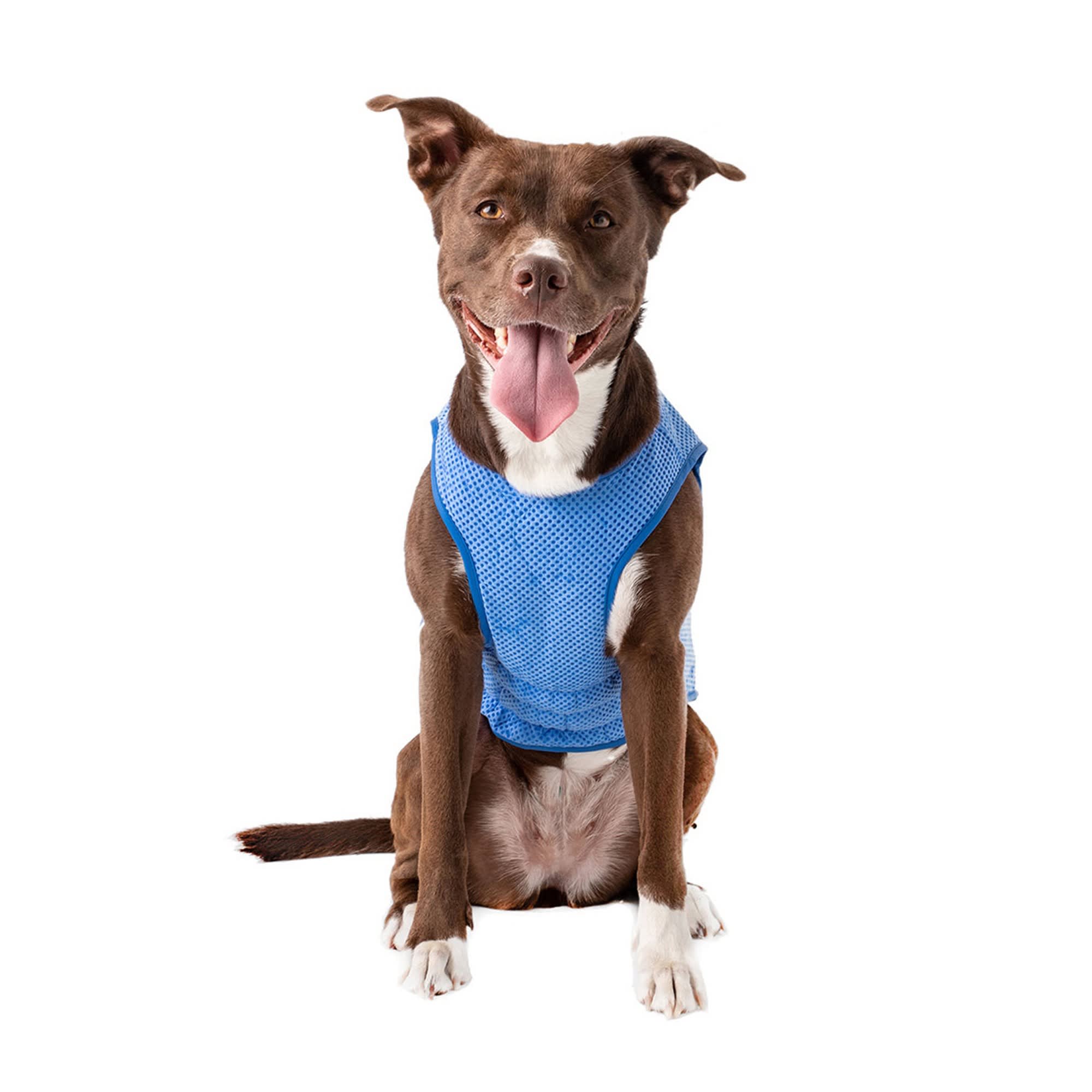 Go fresh ice vest for dogs sale