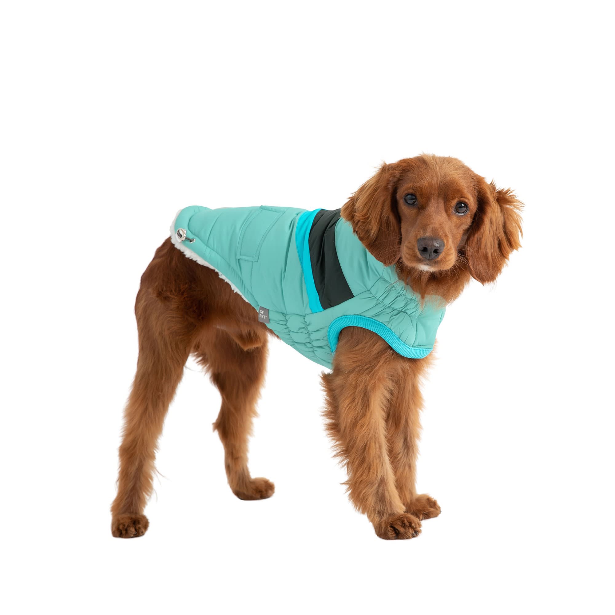 Petco dog jackets hotsell