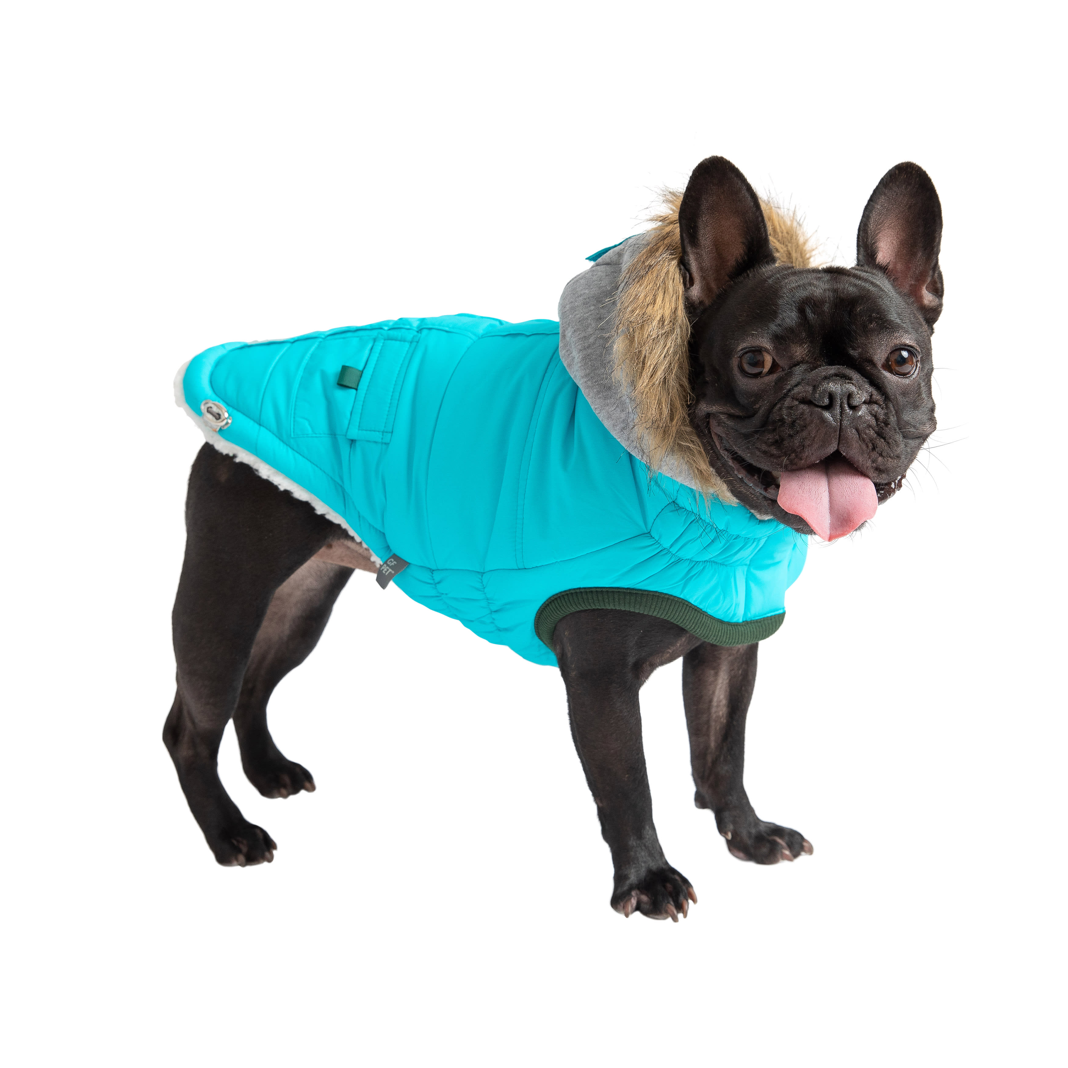 GF Pet Aqua Winter Sailor Dog Parka, X-Small | Petco