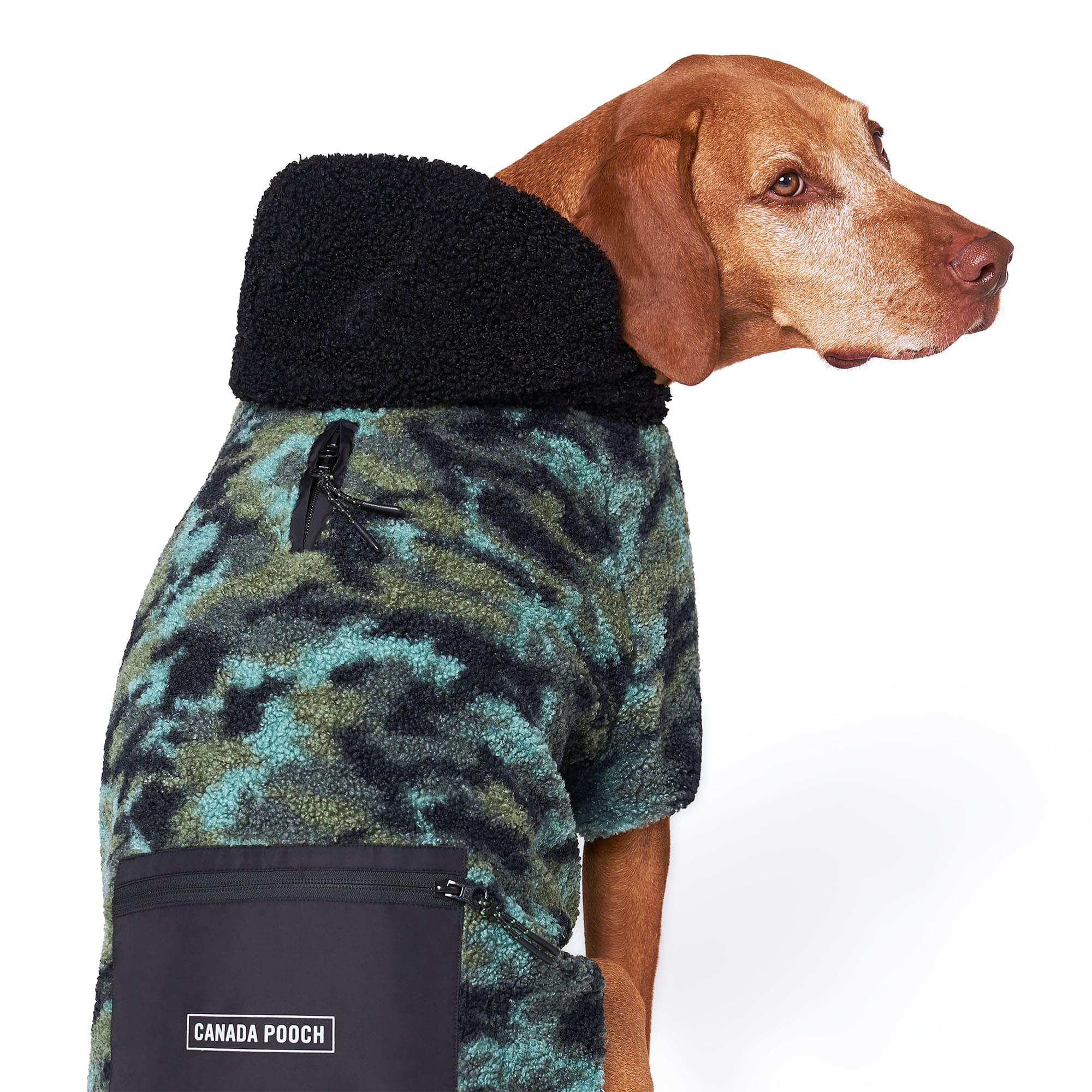 Canada pooch hero outlet hoodie