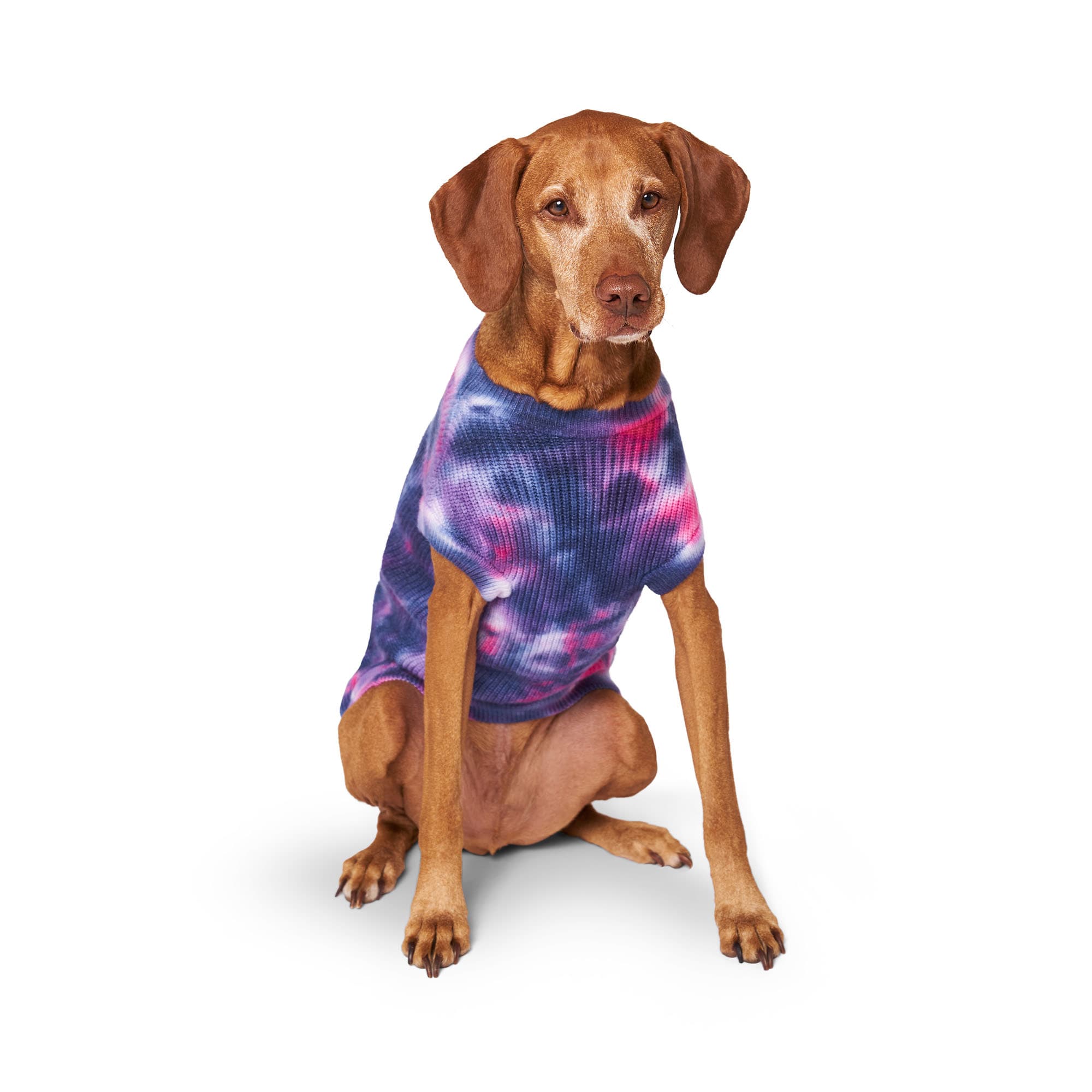 Canada Pooch Purple Wild Side Dog Sweater, XXLarge Petco