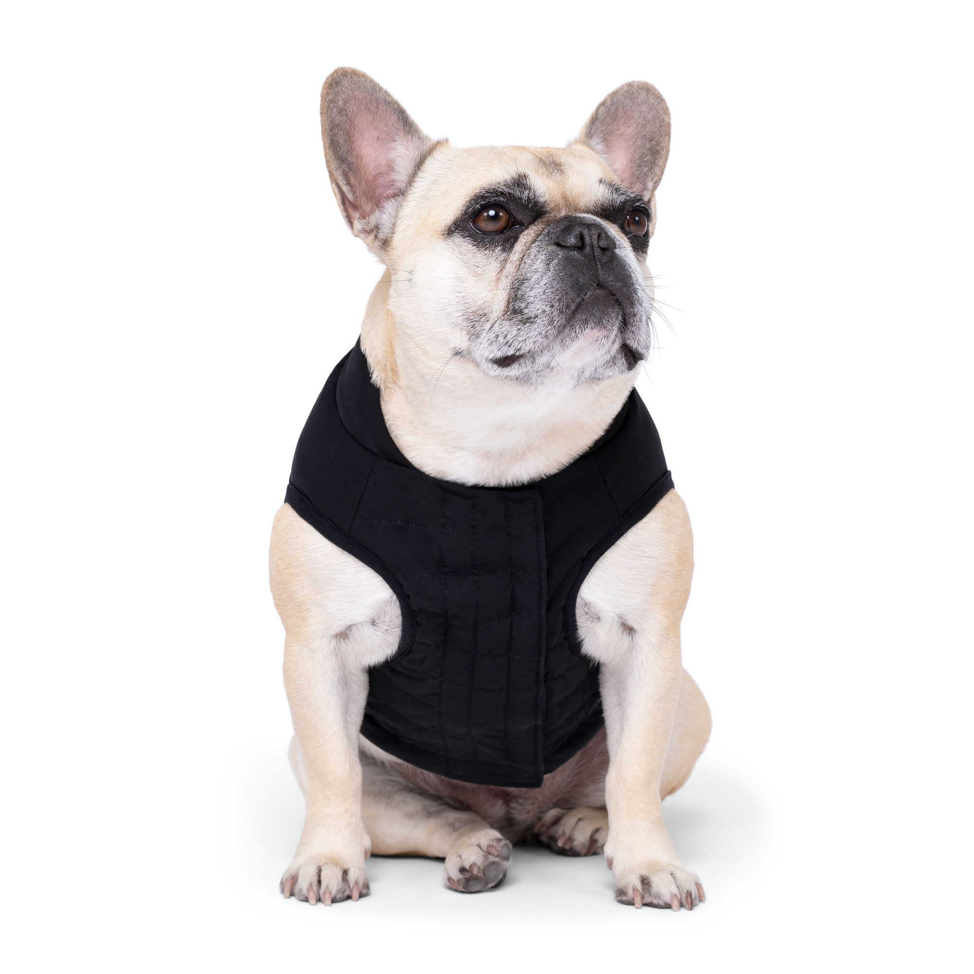 Canada Pooch Black Ultimate Stretch Dog Vest, XX-Small | Petco