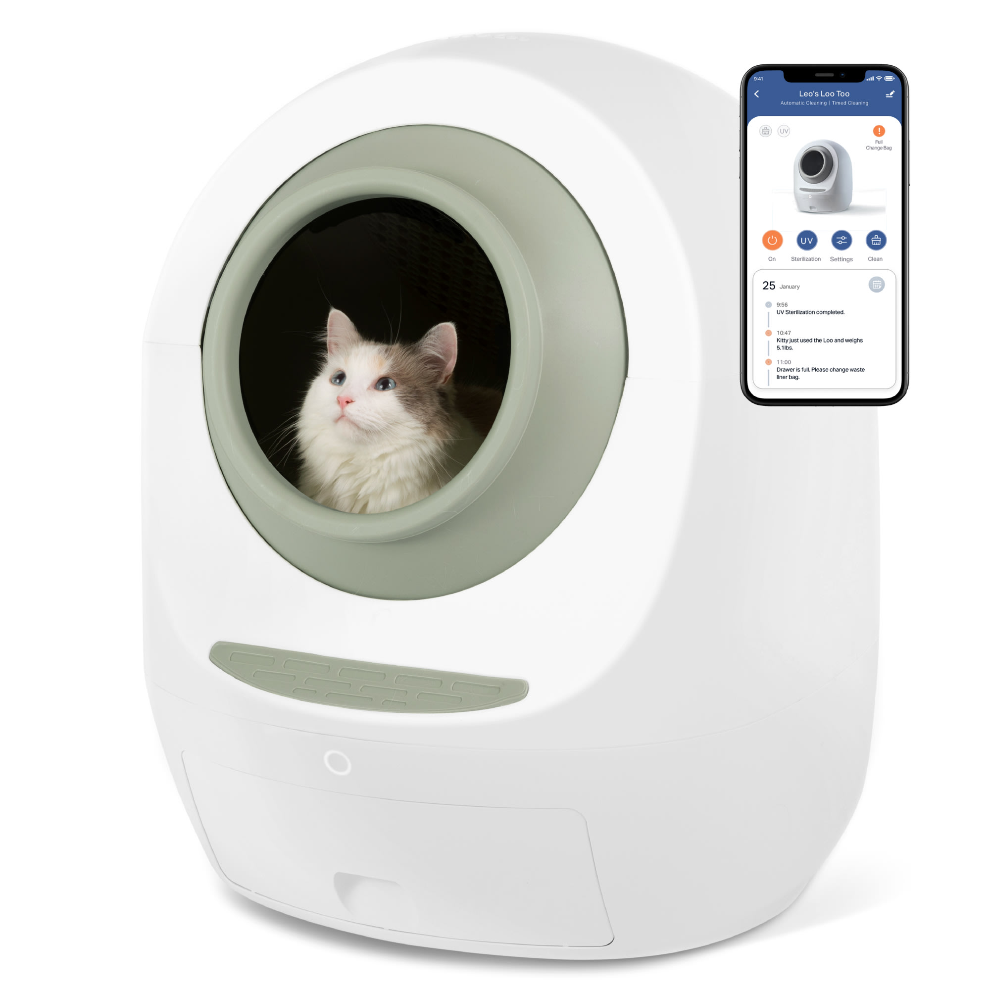 This unique litter box has saved me hours on cleaning my apartment