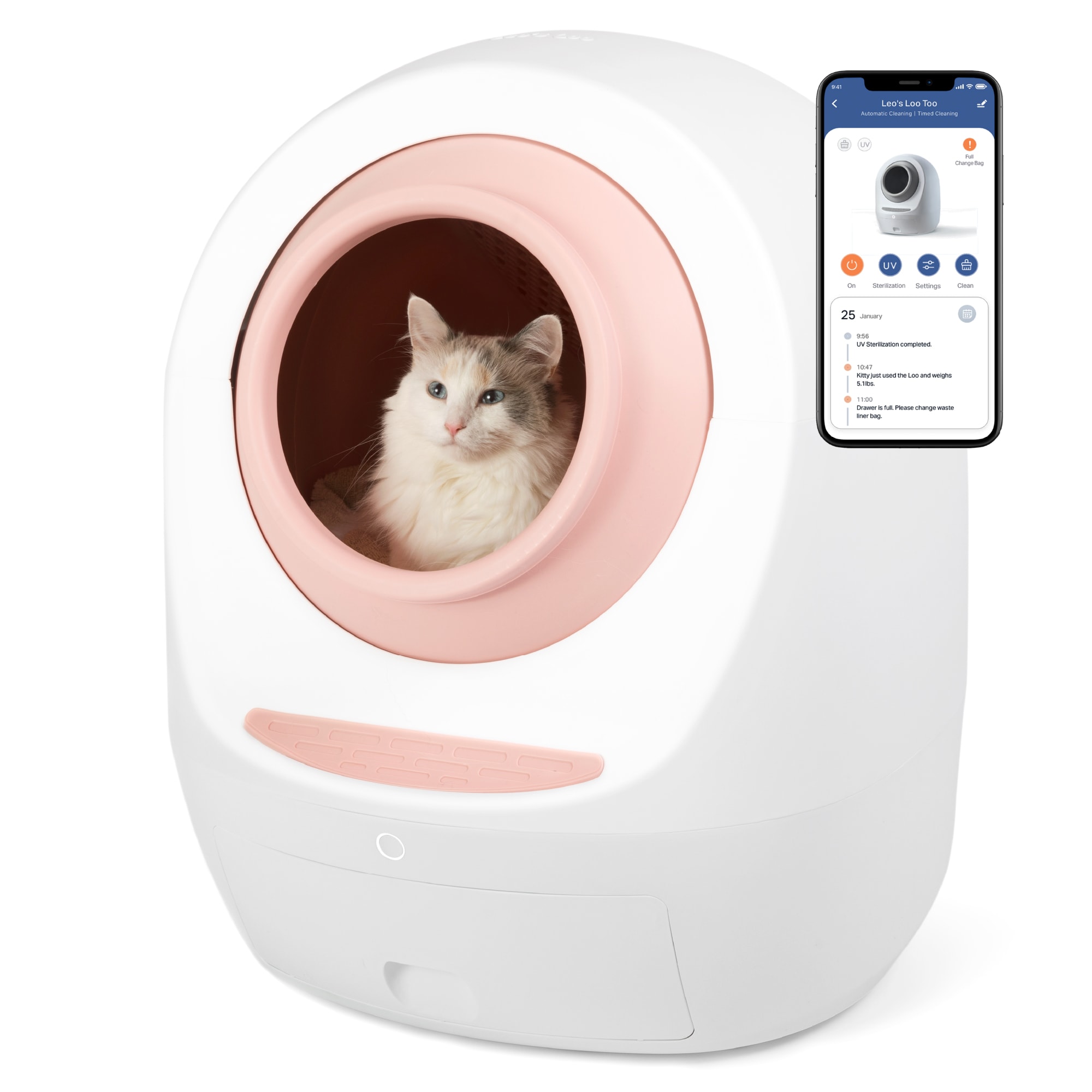 Petco automatic 2025 cat litter box