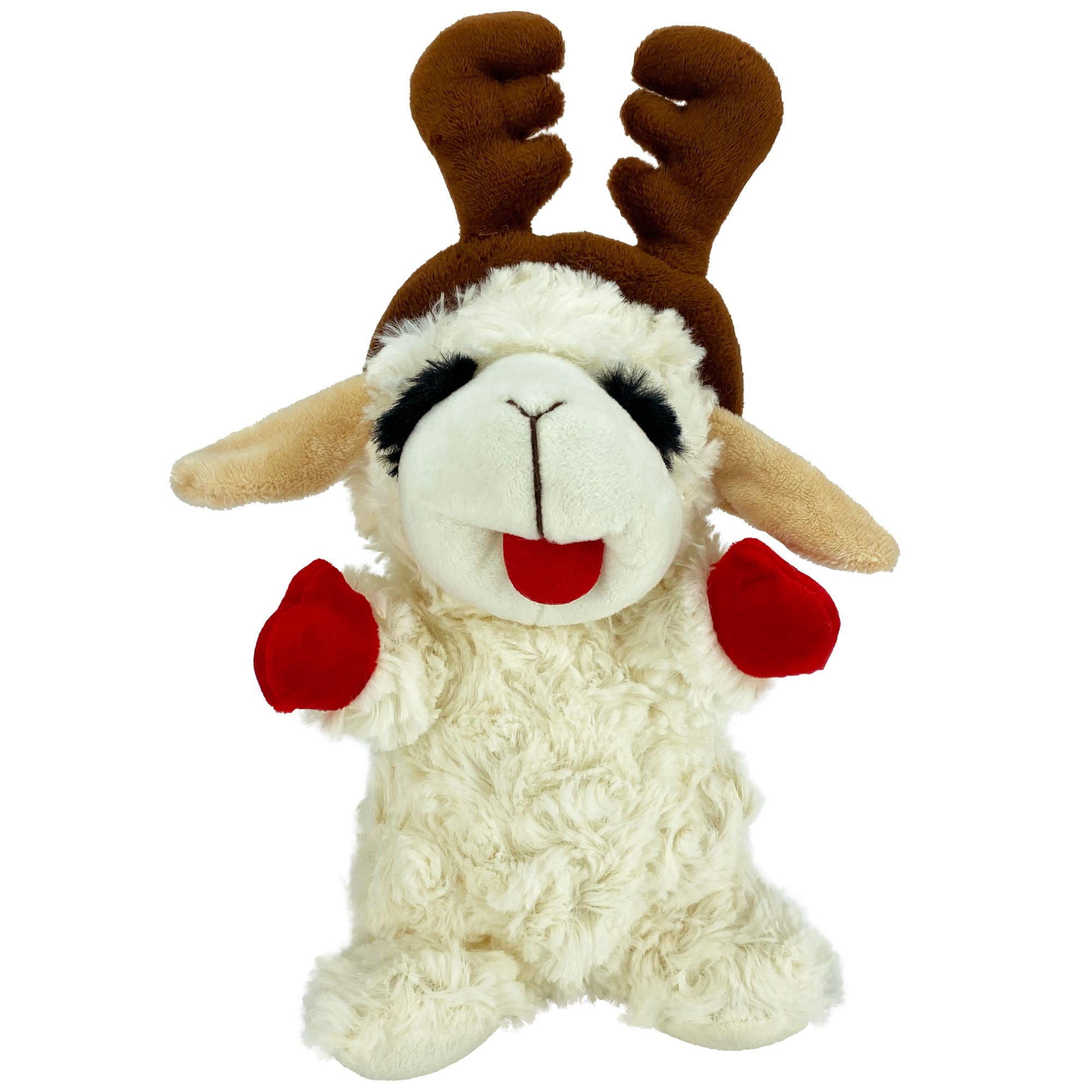 Petco 2024 lamb chop