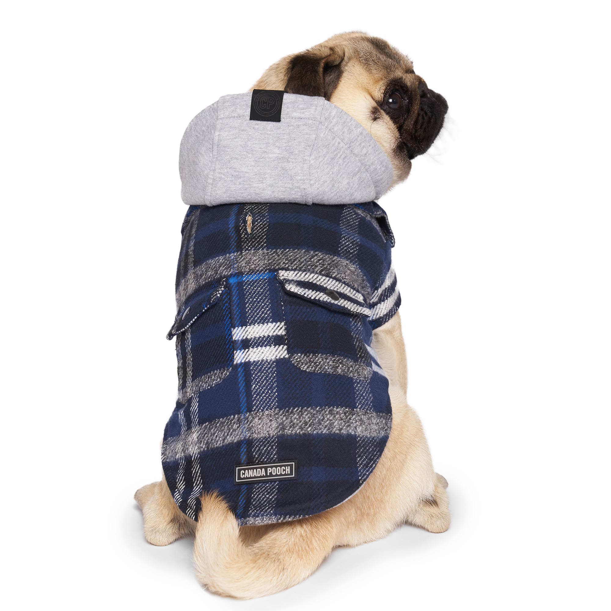 Petco dog jacket best sale