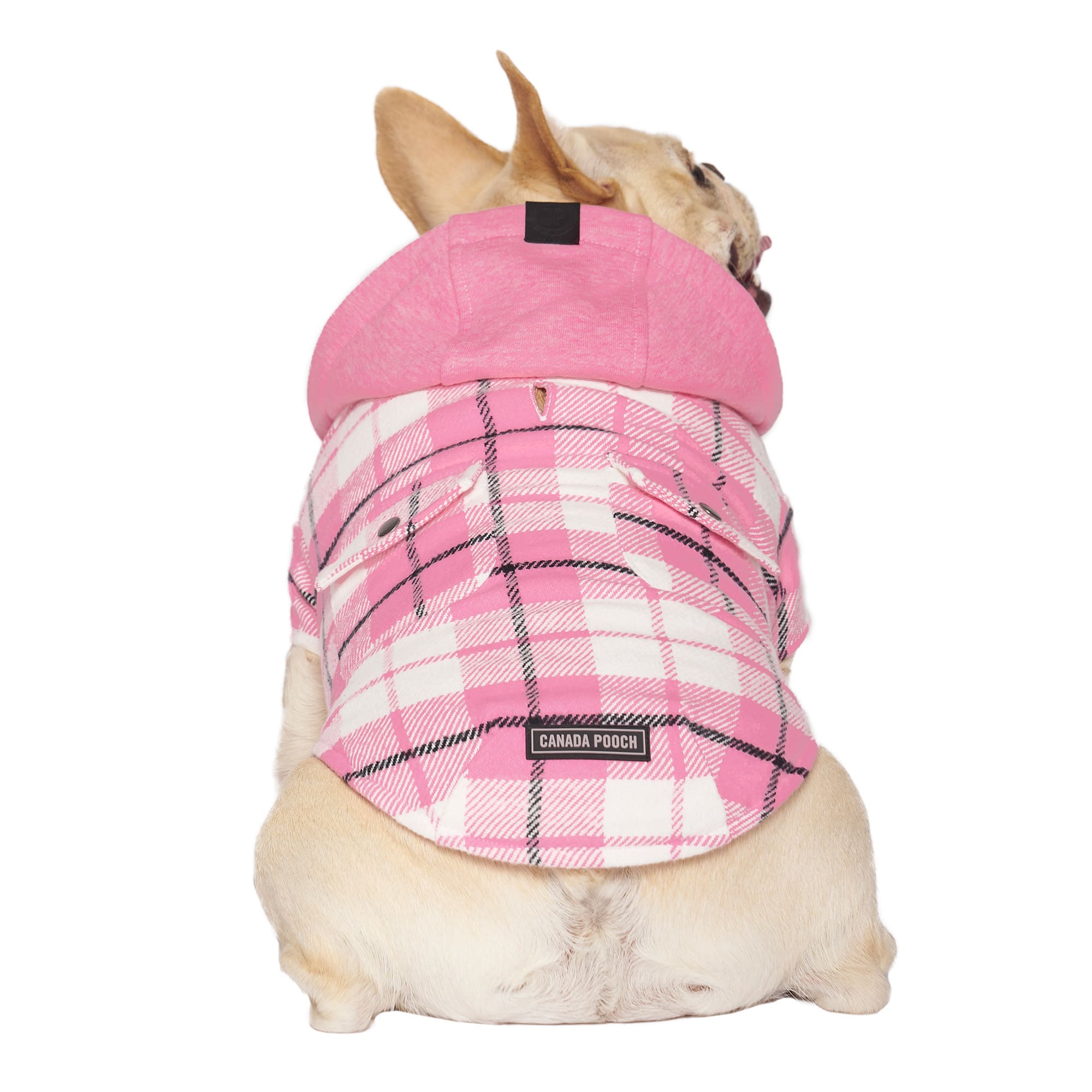 Canada Pooch Shacket for Dogs, Large, Pink Plaid Petco