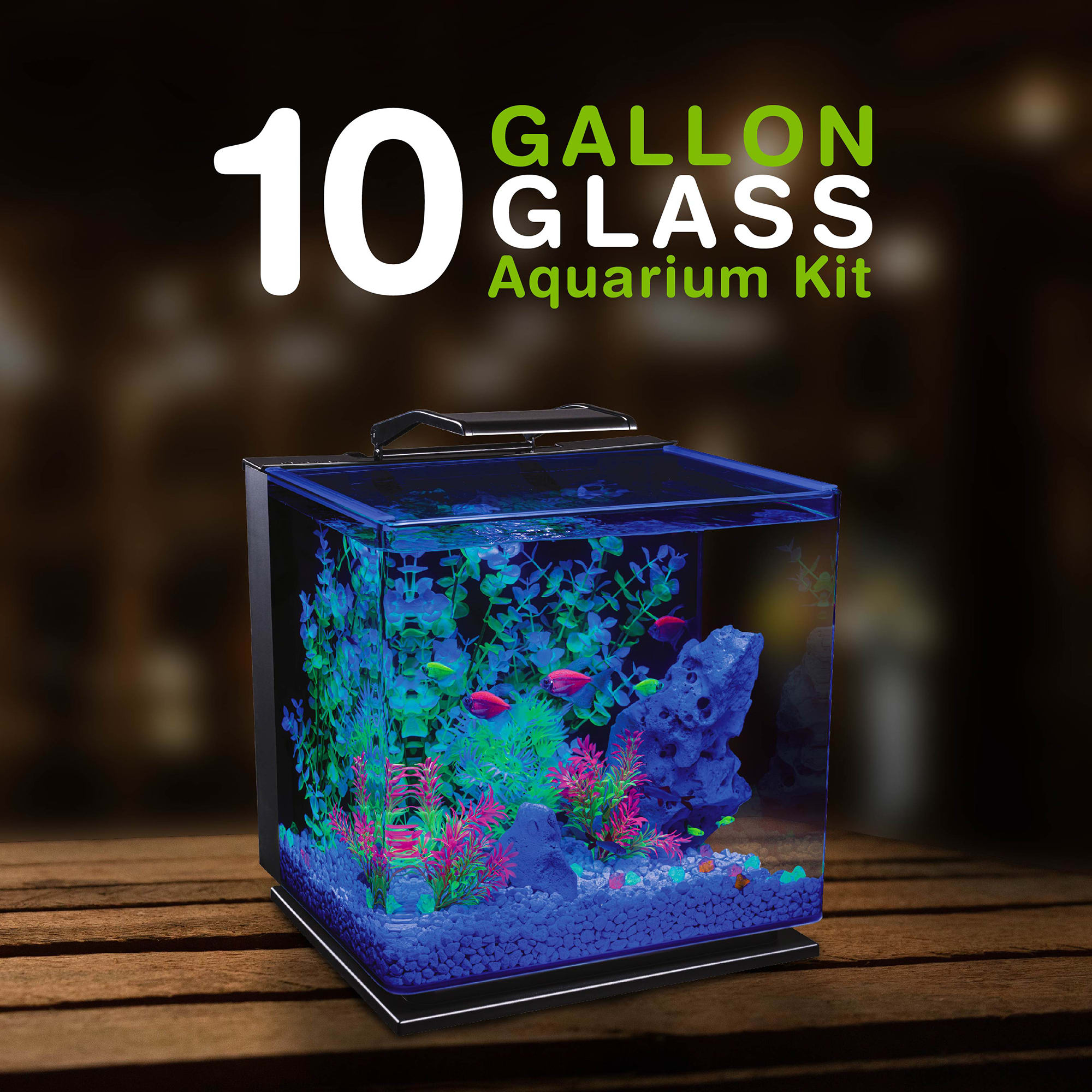 10 Gallon Glass Aquarium Kit