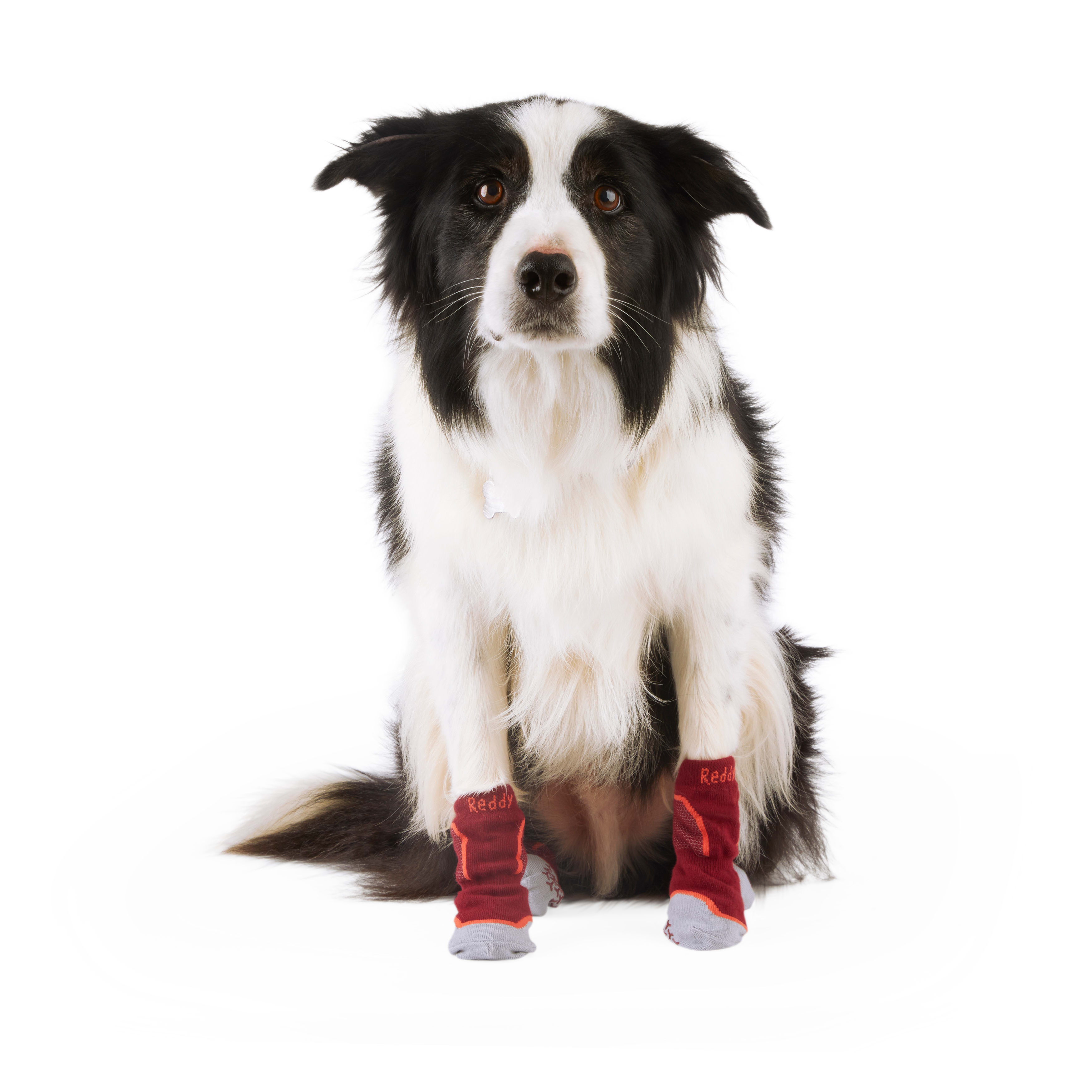 Reddy Black Grip Dog Socks, Small