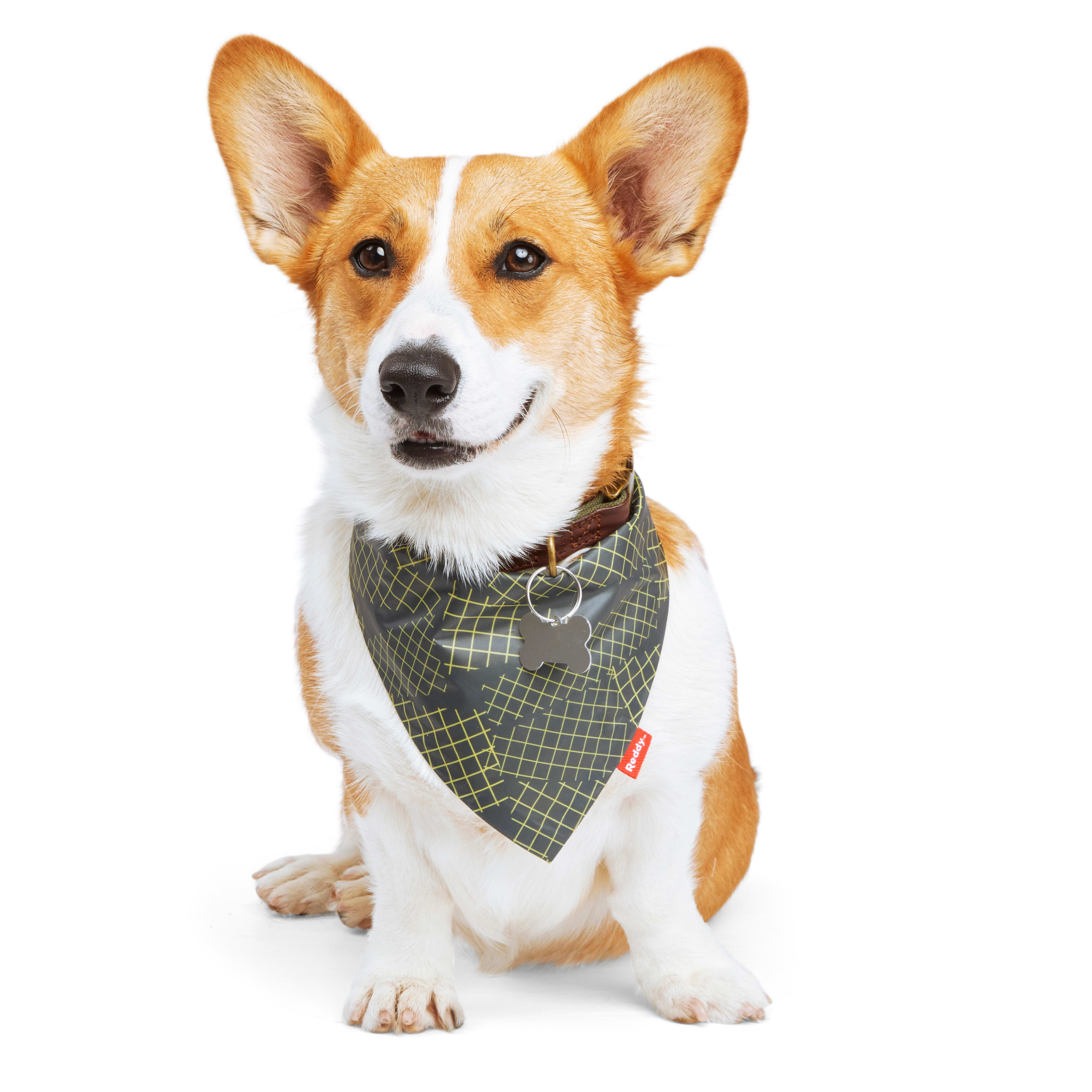 Reddy Green Reversible Dog Bandana, Small/Medium Petco