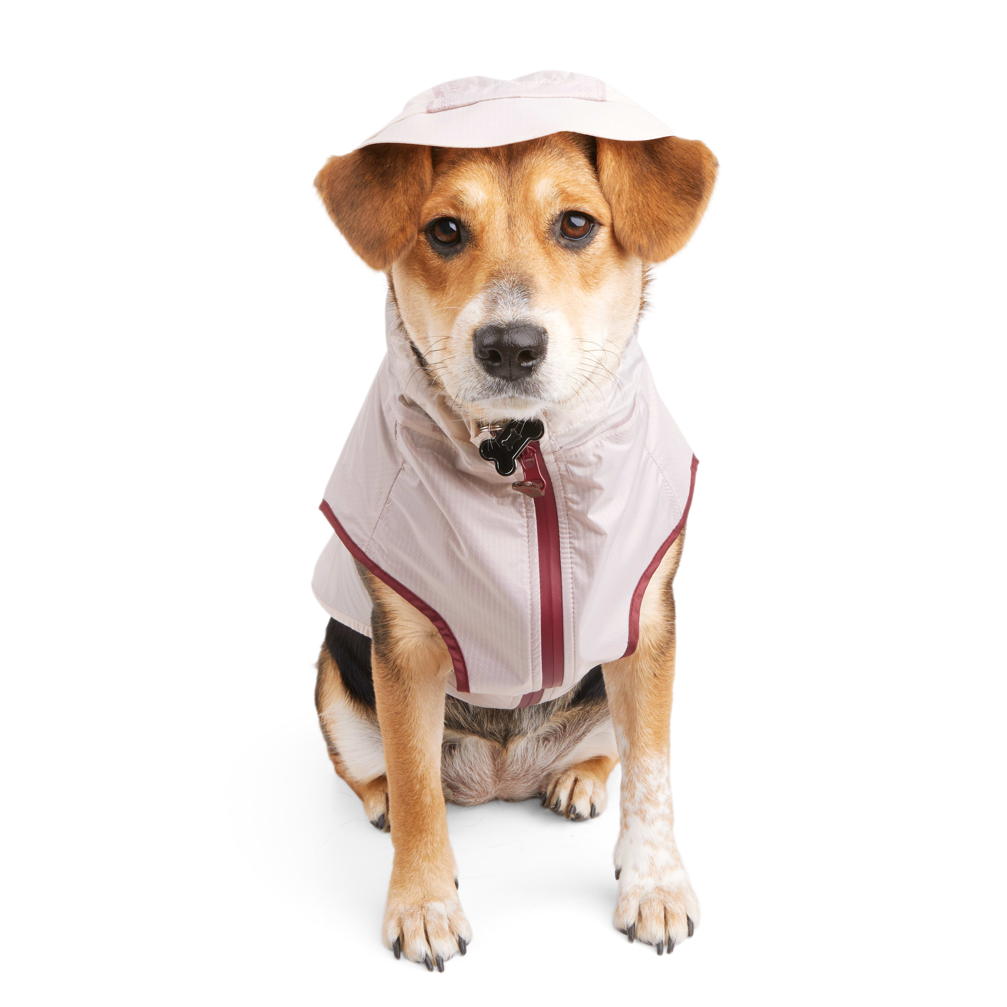 Reddy Dog Raincoat