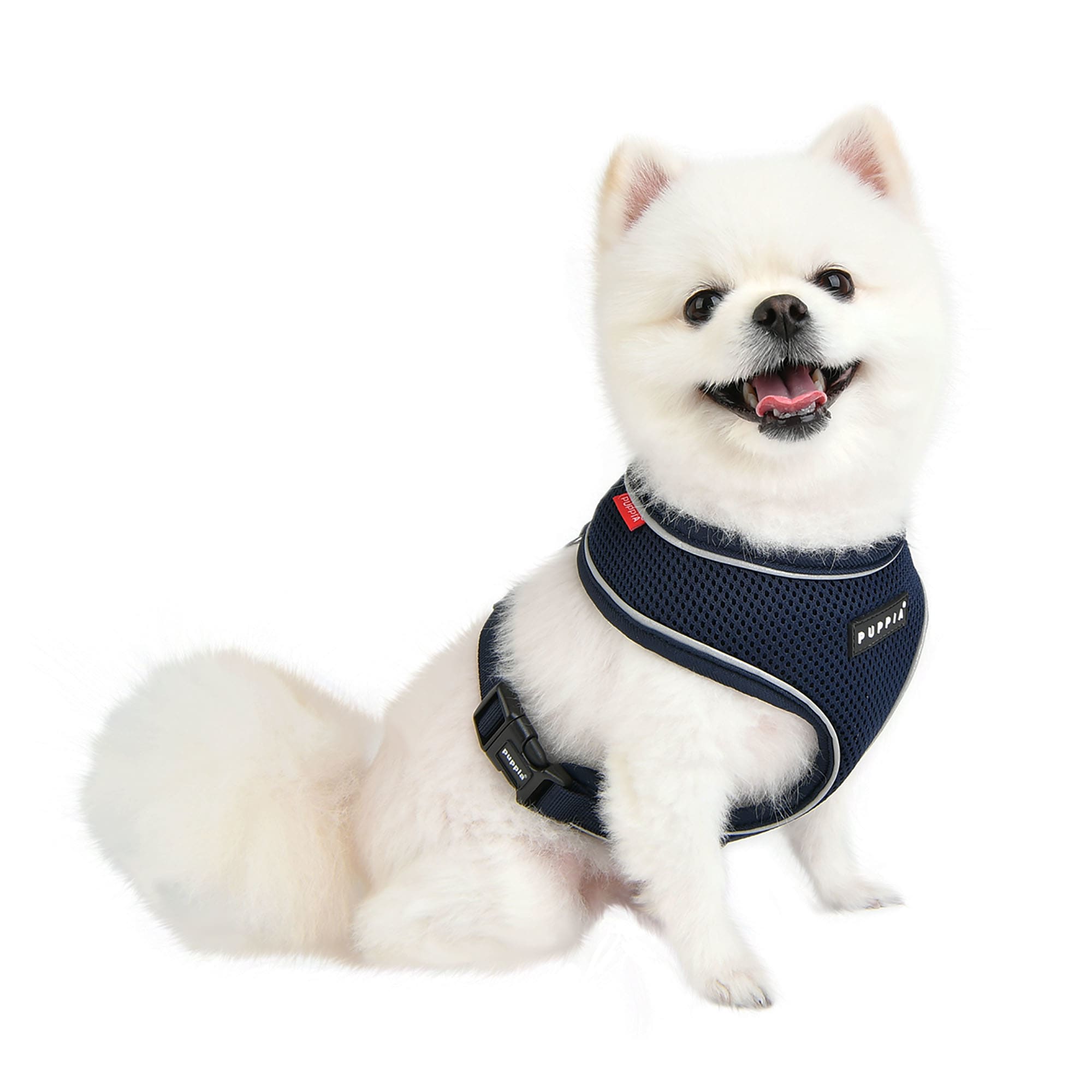 Puppia harness petco best sale