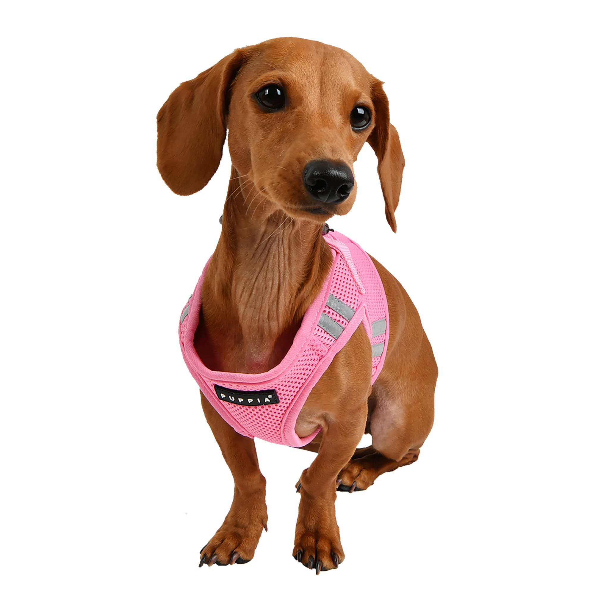 Emotional support dog vest clearance petco