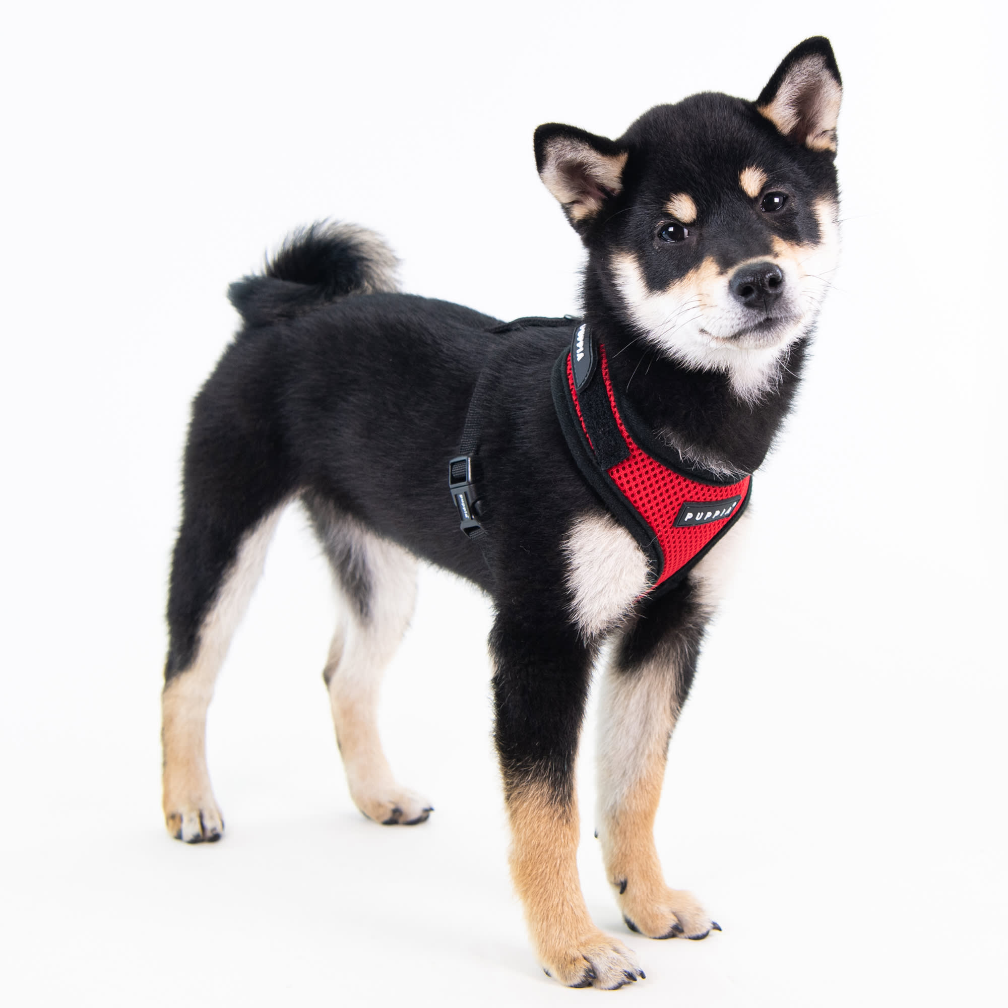 Puppia Red Superior Soft Dog Harness with Adjustable Neck, Small | Petco