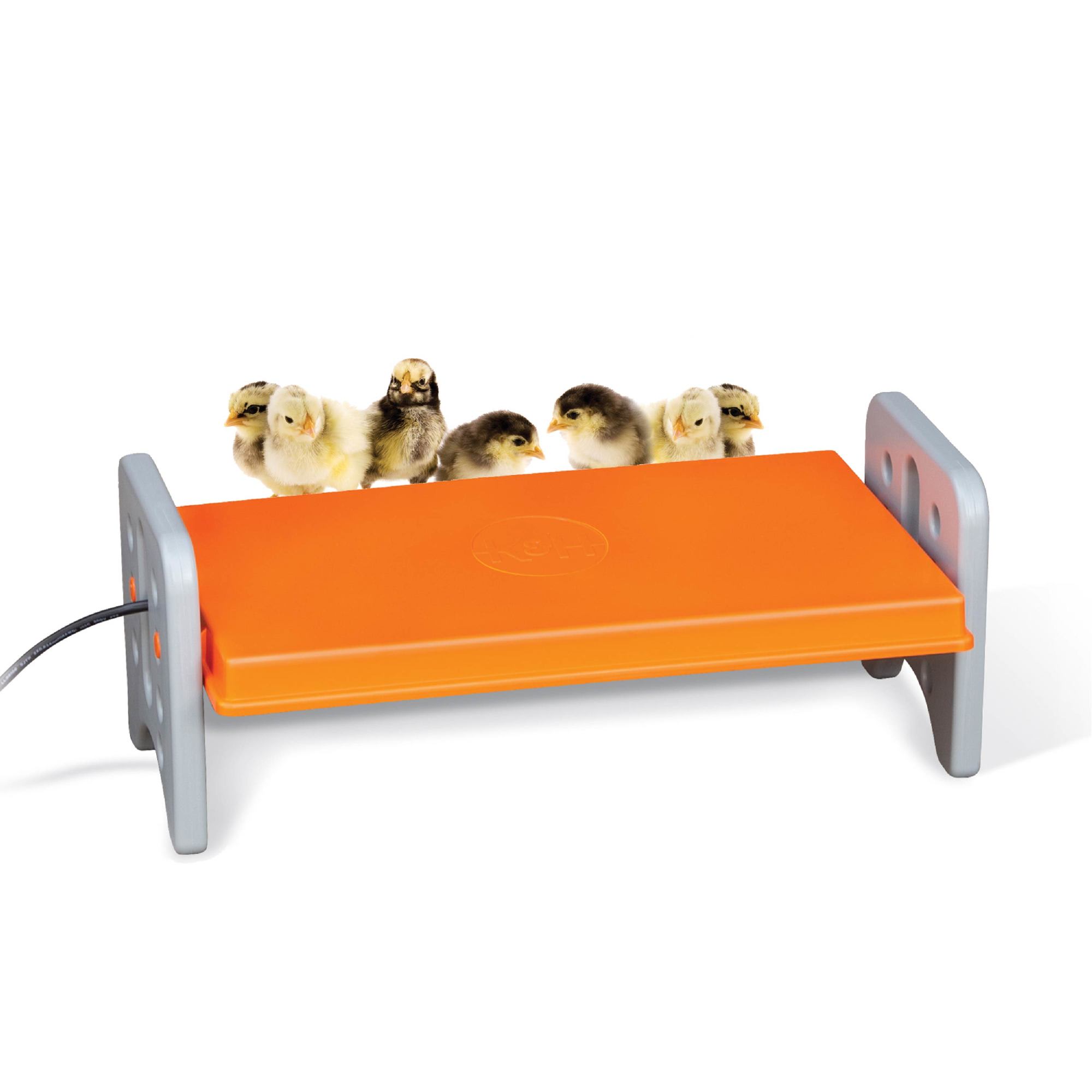 Ku0026H Pet Products Gray/Orange Large Thermo-Poultry Brooders, 20 L X 11.5 W  X 8 H | Petco