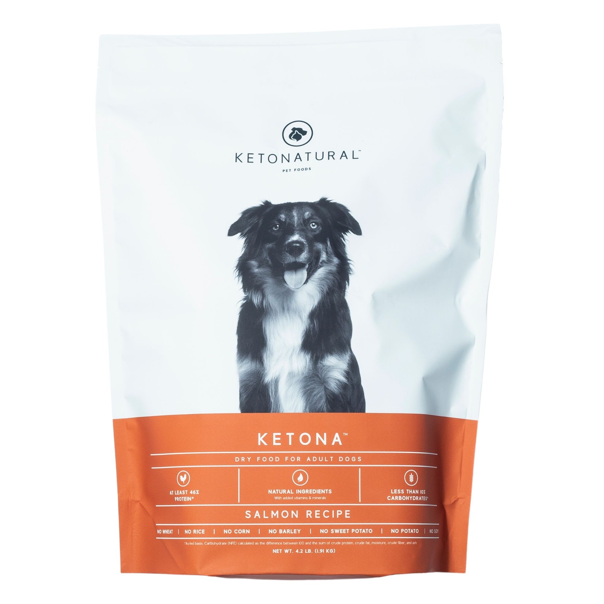 Ketona Salmon High Protein & Grain Free Dog Food 4.2 lbs