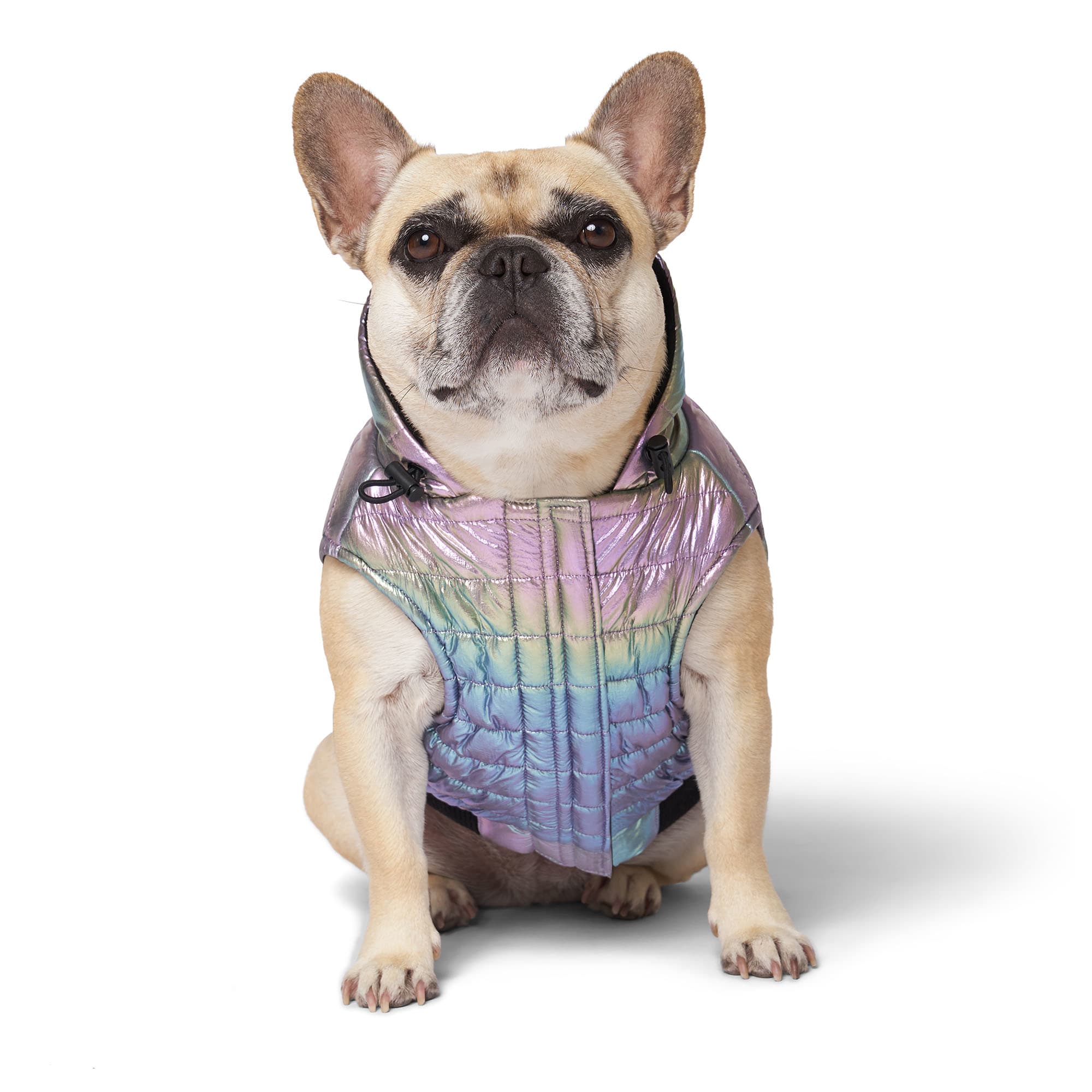 Canada Pooch Iridescent Shiny Puffer Vest for Dogs, XXSmall Petco
