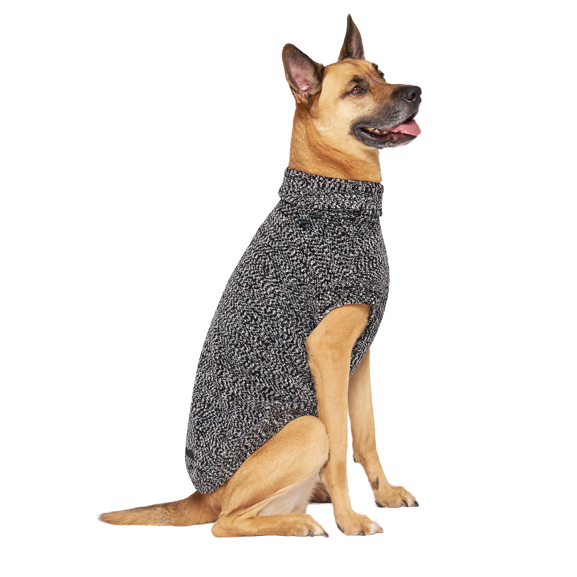 Dog sweater outlet canada