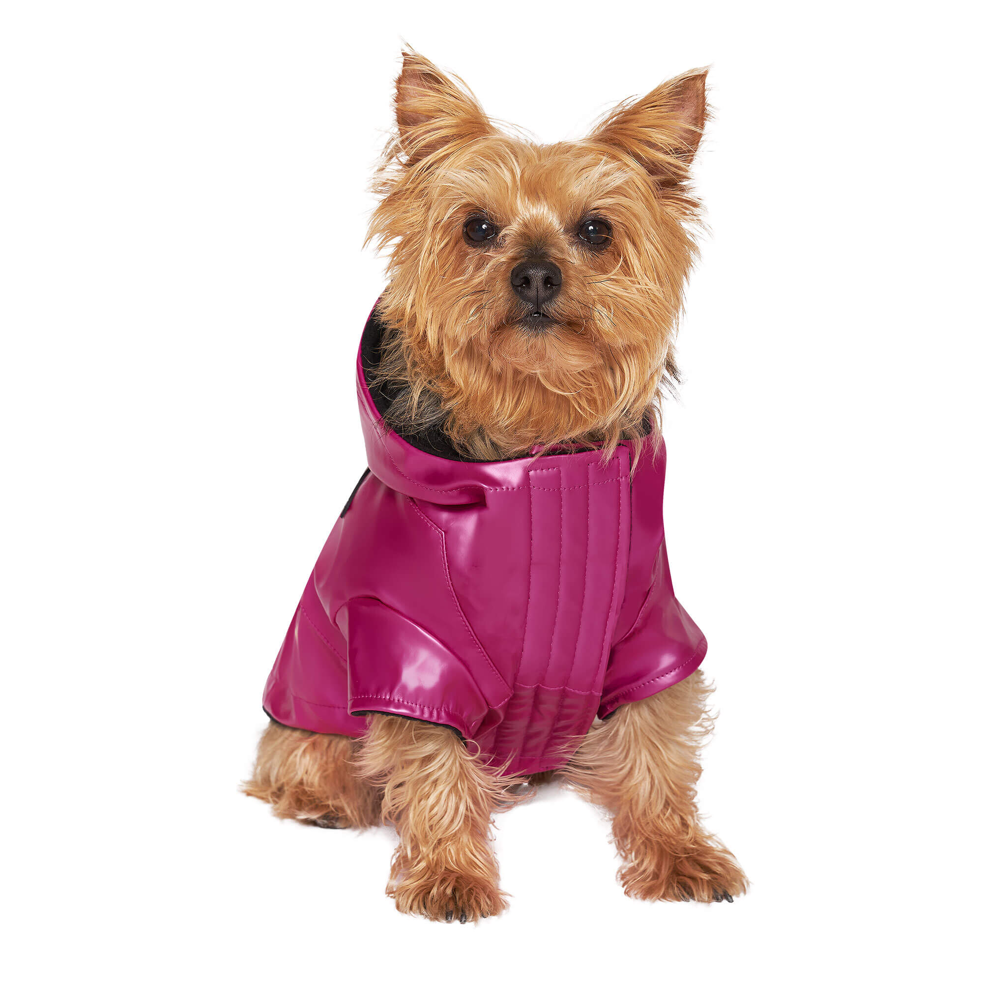 Pink Dog Raincoat
 Canada Pooch Pink Cold Front Dog Raincoat 3X Small