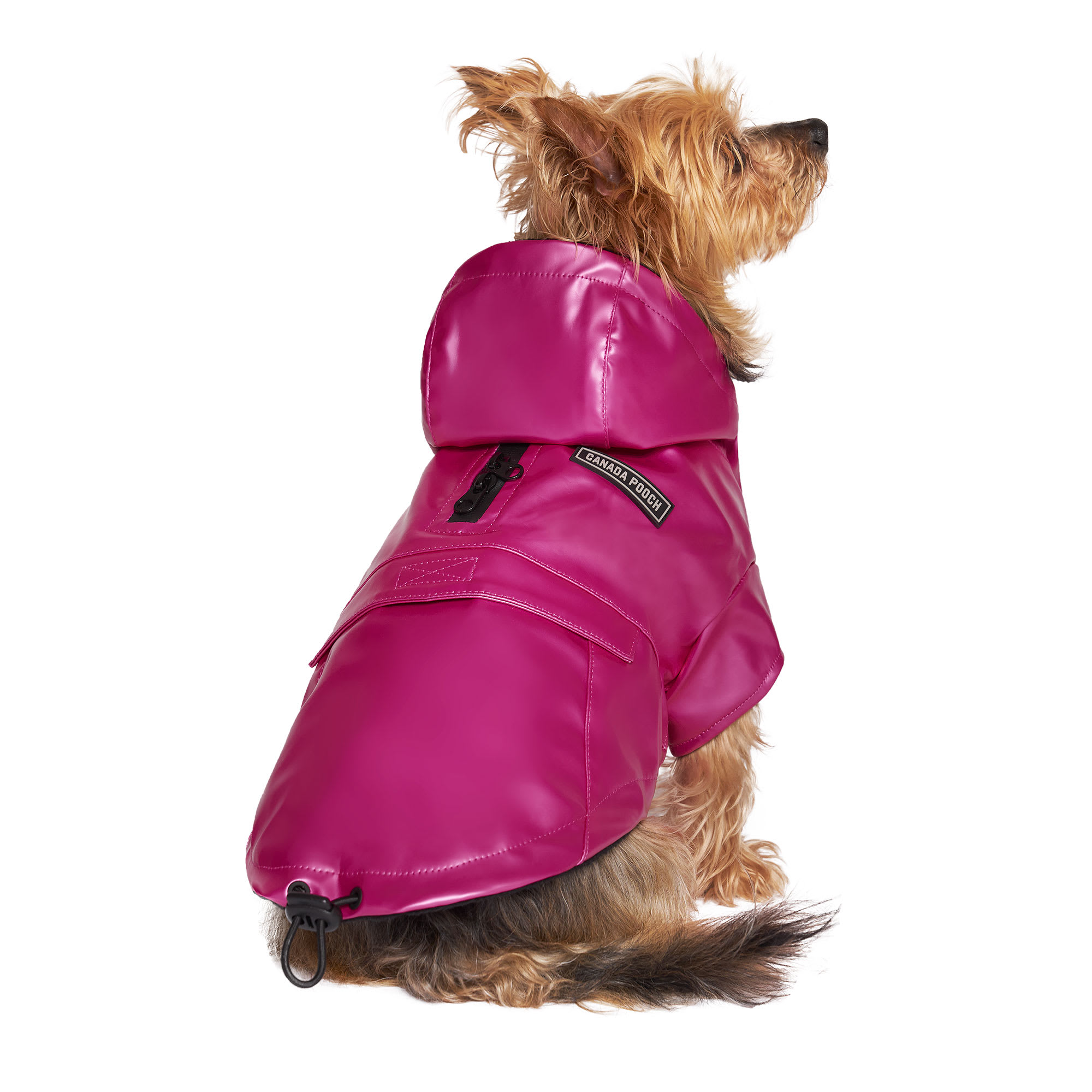 Dog on sale raincoat canada