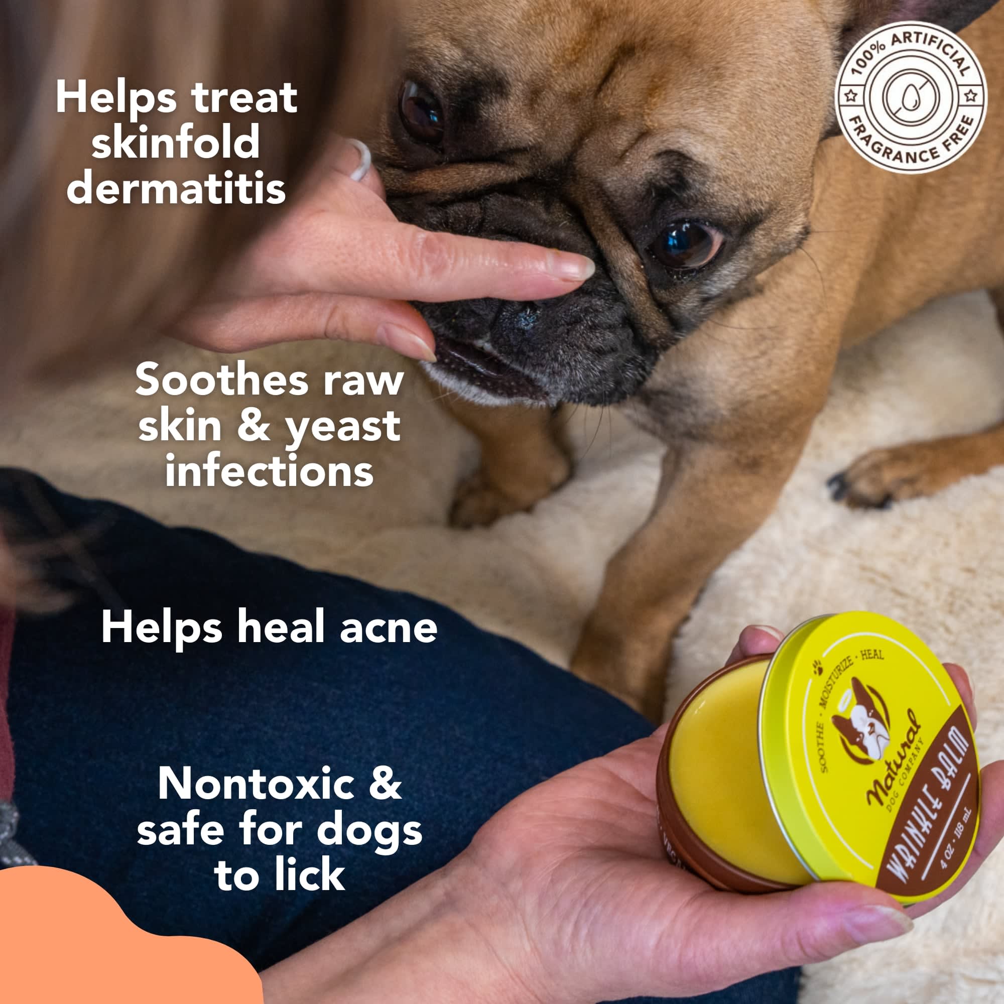 Pug pimples treatment hotsell