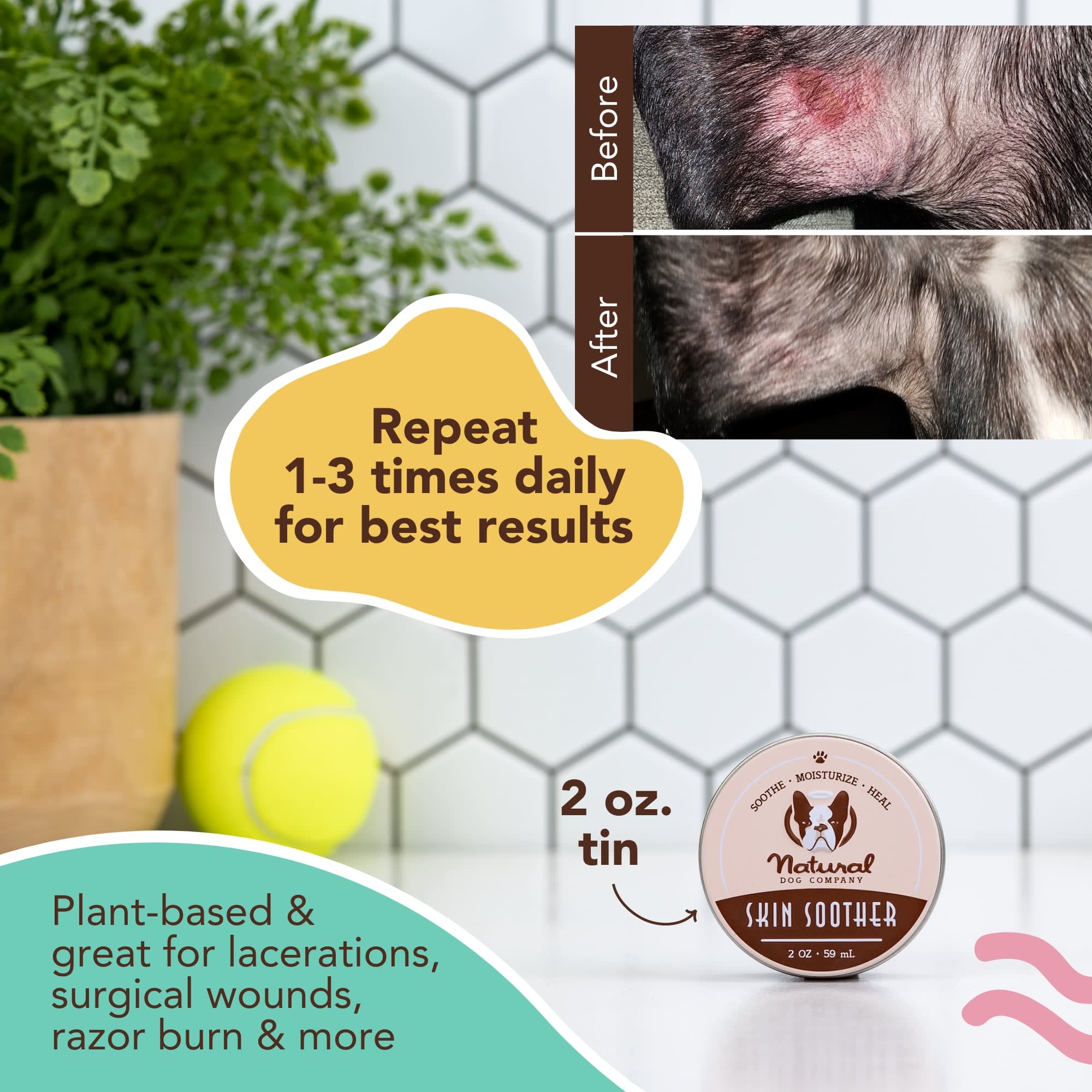 Dog Skin Rash Dog Razor Burn Treatment Razor Burn On Dog Treatment