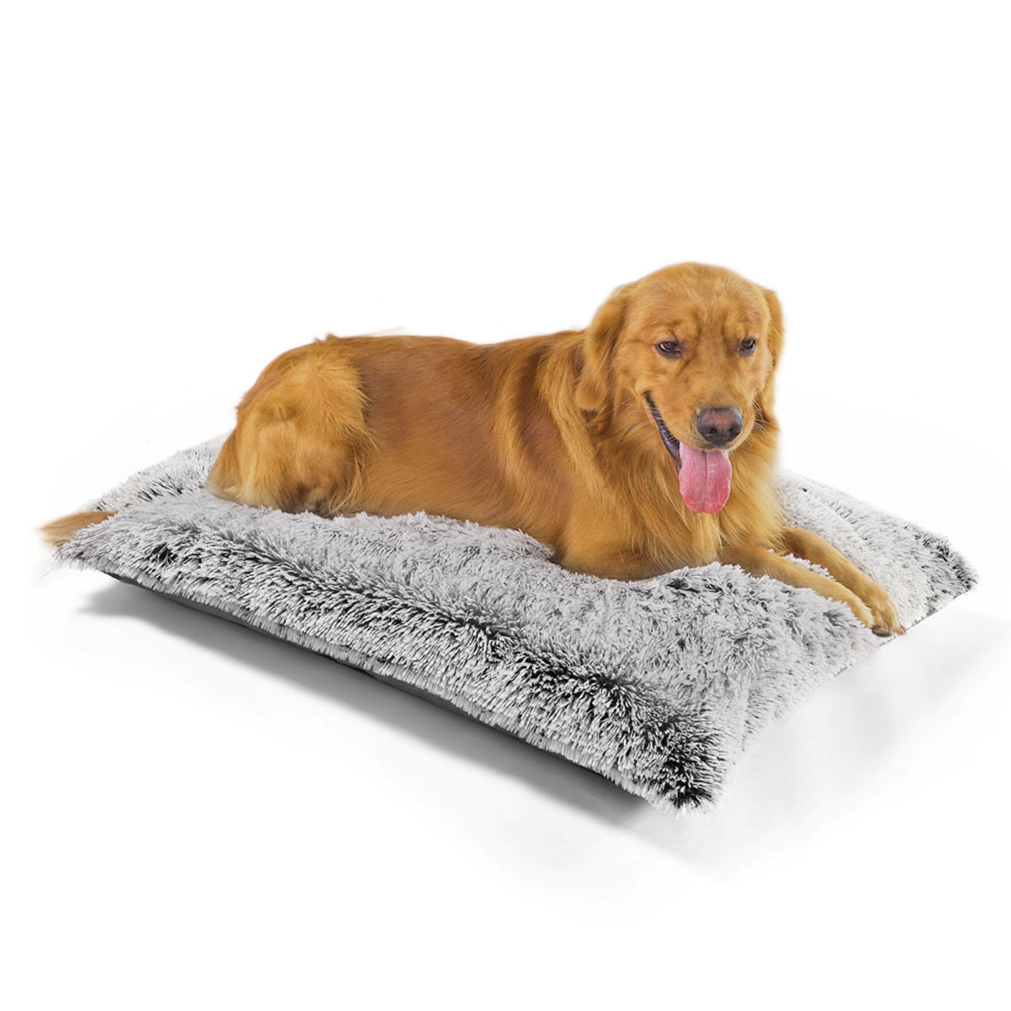 PetMedics Orthopedic Foam Crate Bed for Dogs, 34" L X 27" W X 4" H Petco