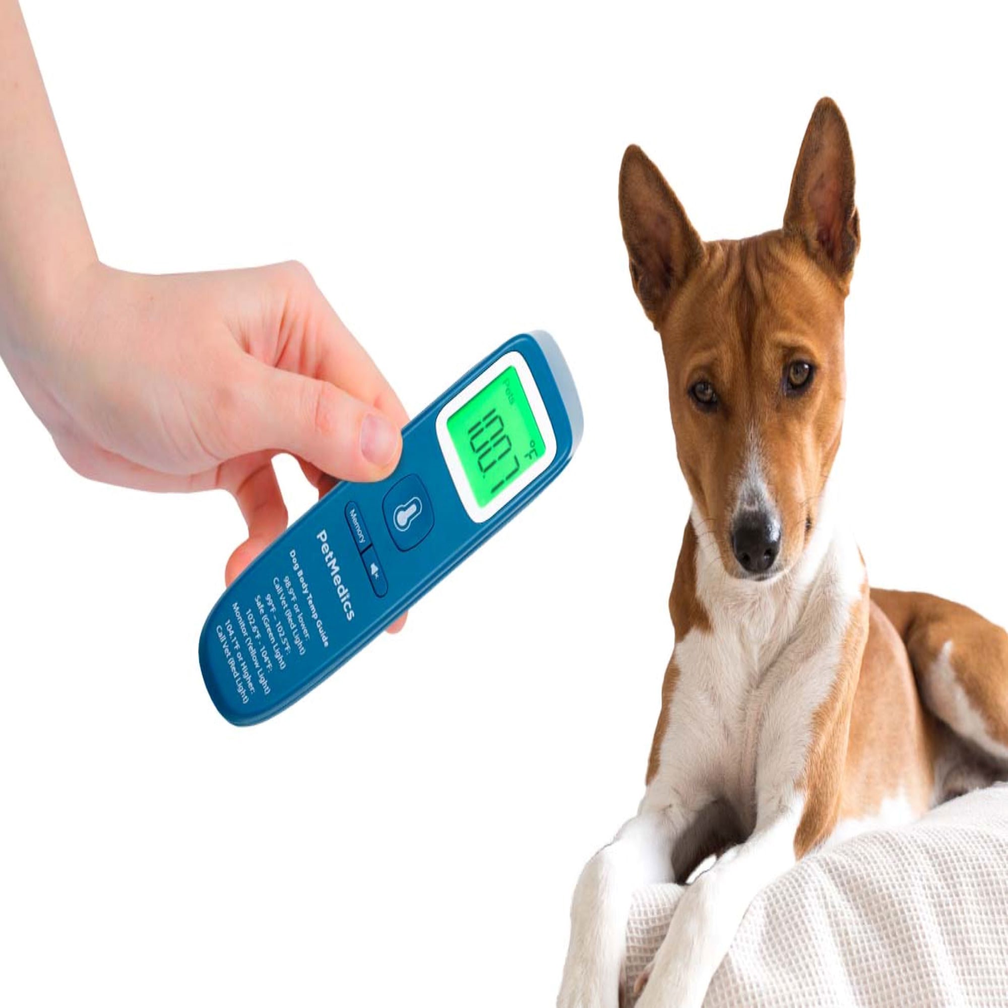 Marina Thermo Sensor Inside/Outside Thermometer with Memory [HG 11196] :  Creative Pet Supply