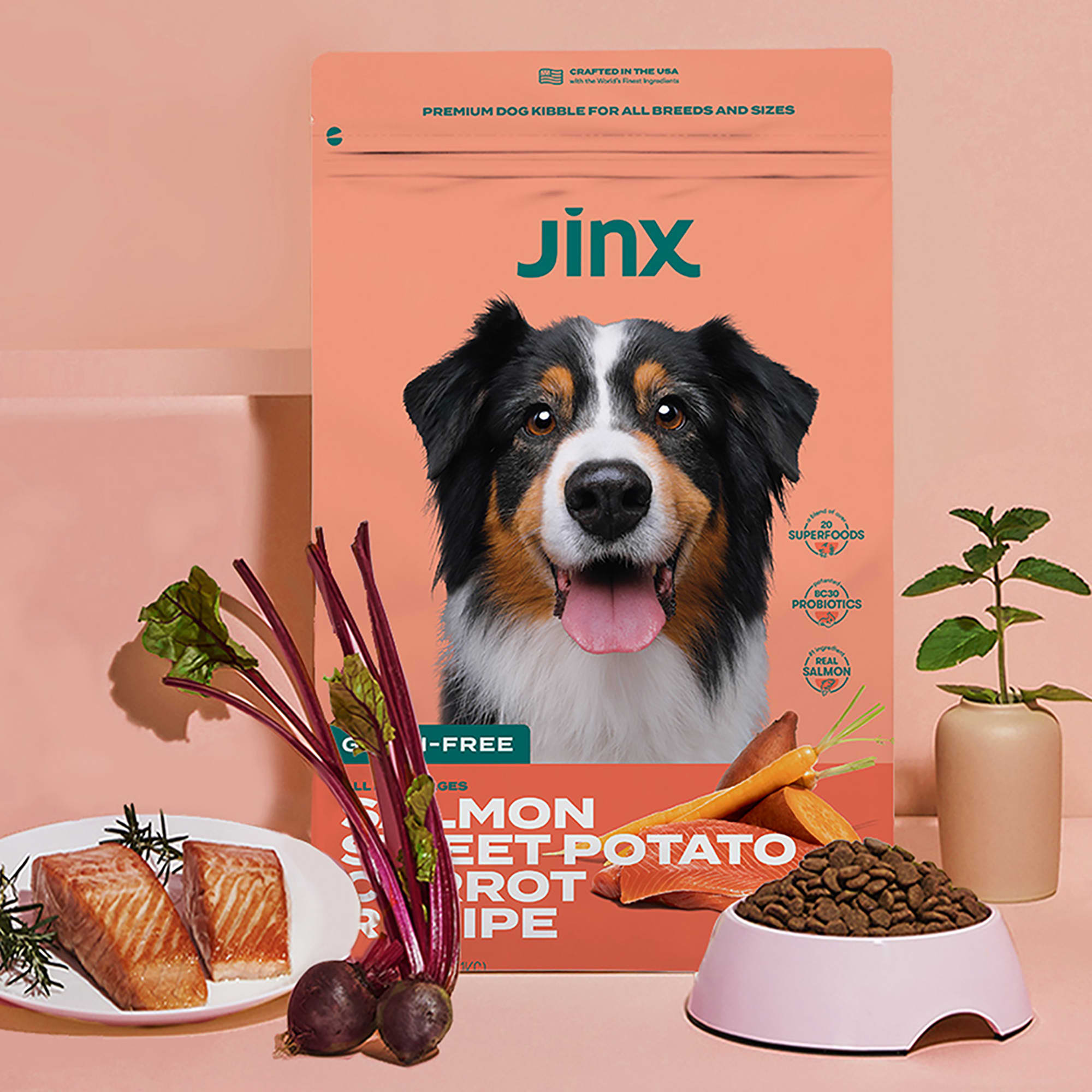 Jinx Salmon Sweet Potato Carrot ALS Kibble Dry Dog Food 4 lbs