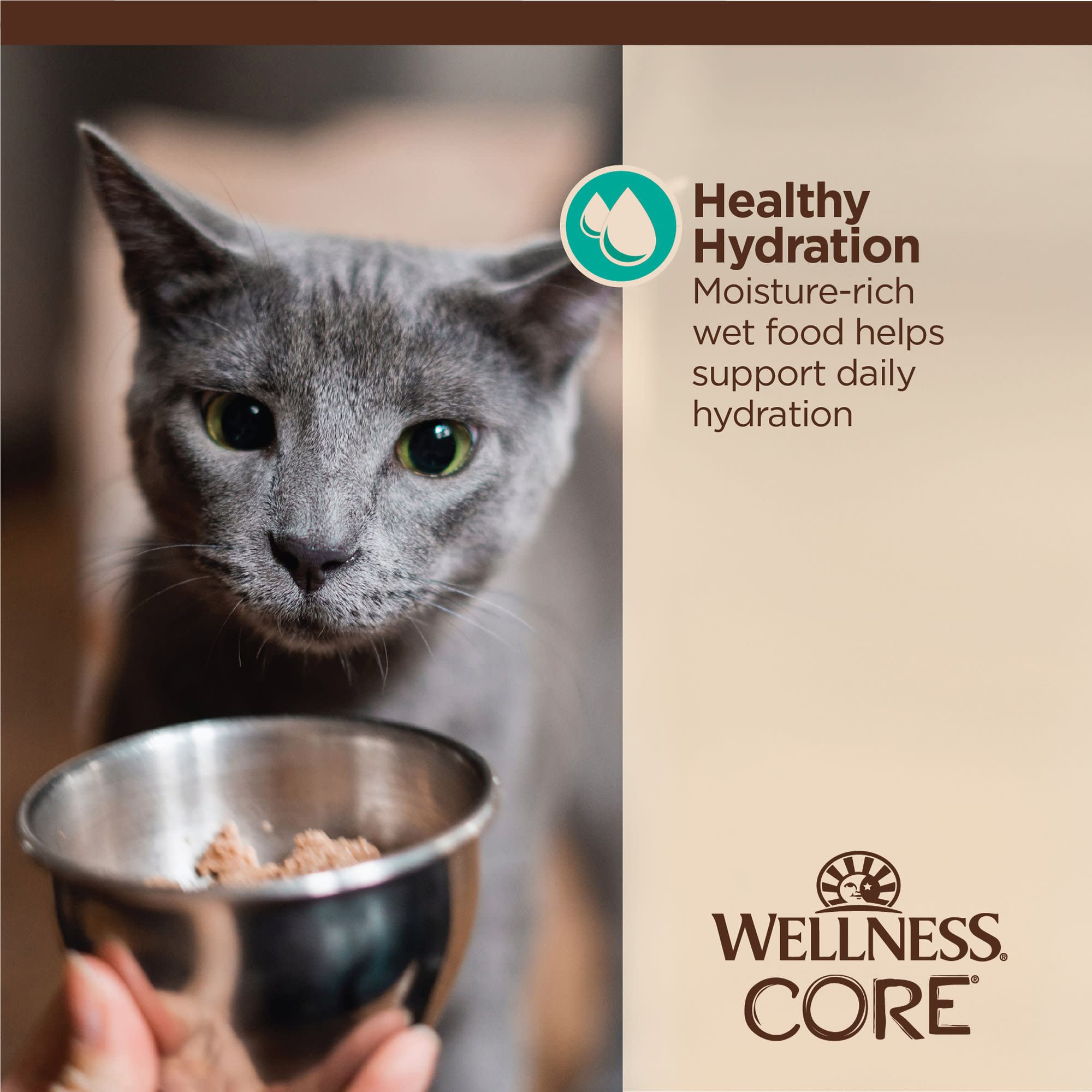 Wellness CORE Flaked Tuna Salmon in Sauce Tiny Tasters Wet Cat Food, Case of 12
