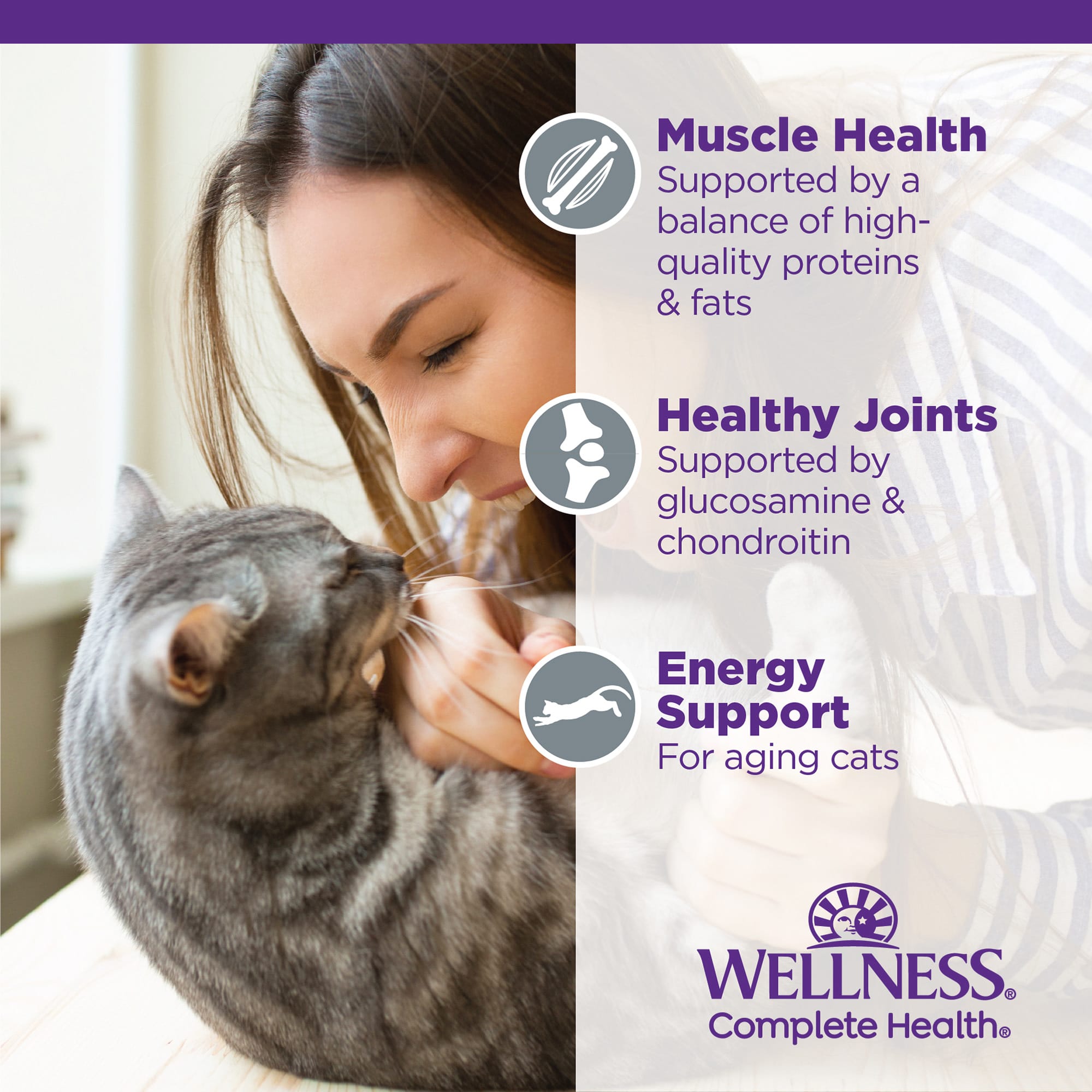 Wellness complete health outlet senior cat food